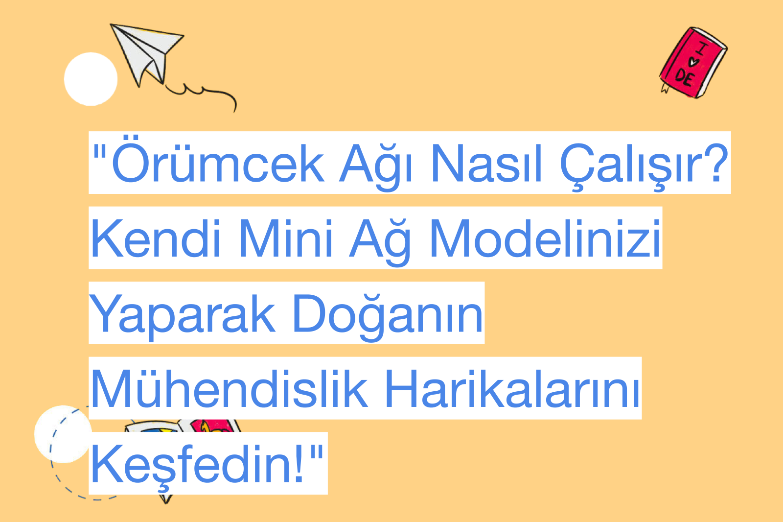 "Örümcek Ağı Nasıl Çalışır? Kendi Mini Ağ Modelinizi Yaparak Doğanın Mühendislik Harikalarını Keşfedin!"