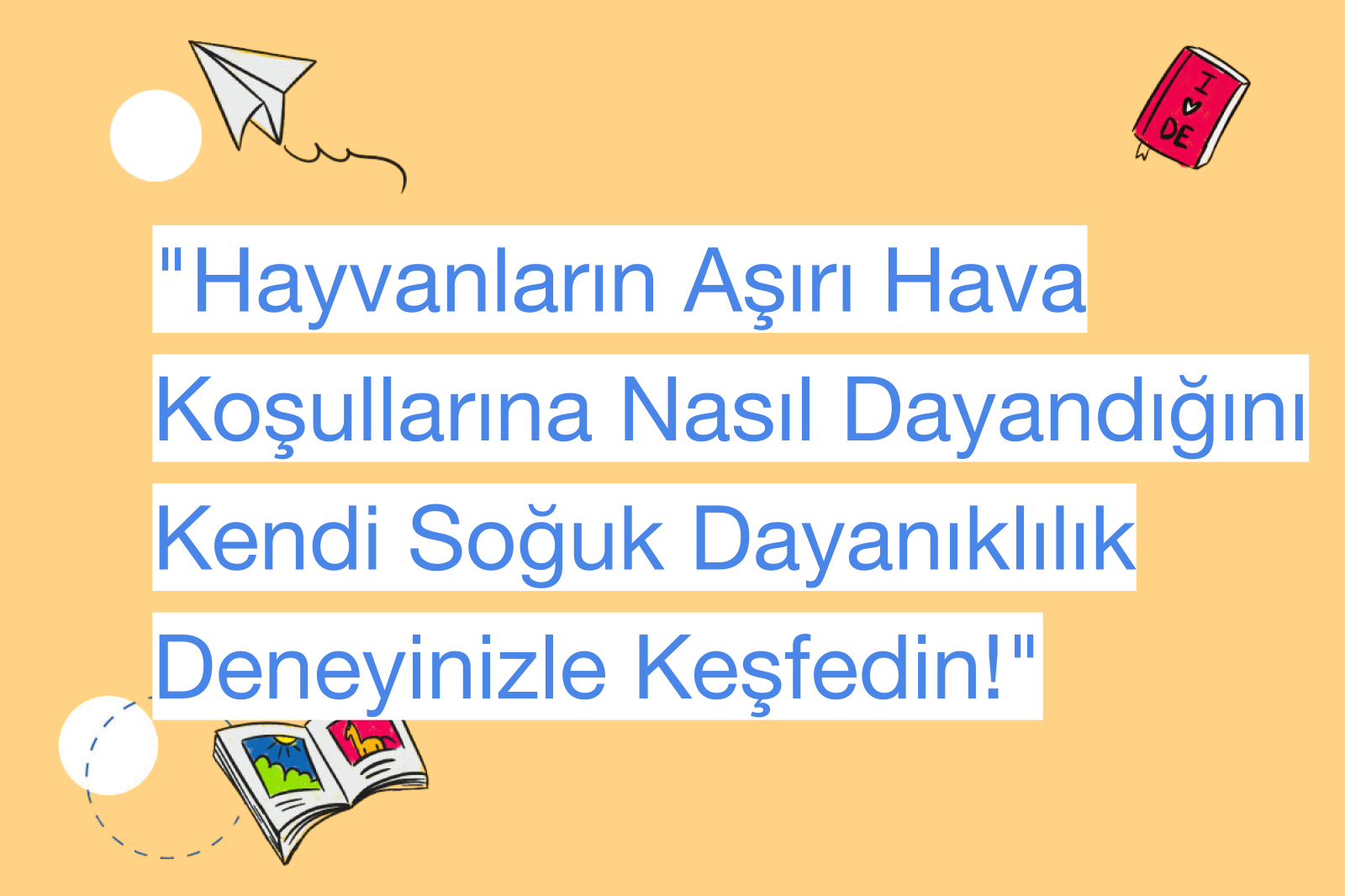 "Hayvanların Aşırı Hava Koşullarına Nasıl Dayandığını Kendi Soğuk Dayanıklılık Deneyinizle Keşfedin!"