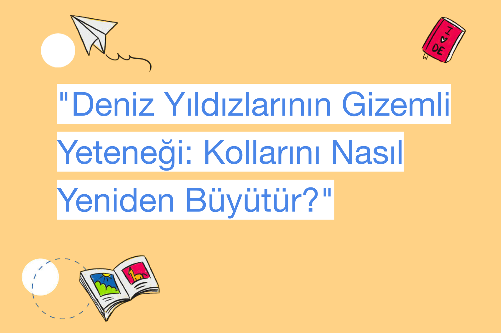 "Deniz Yıldızlarının Gizemli Yeteneği: Kollarını Nasıl Yeniden Büyütür?"