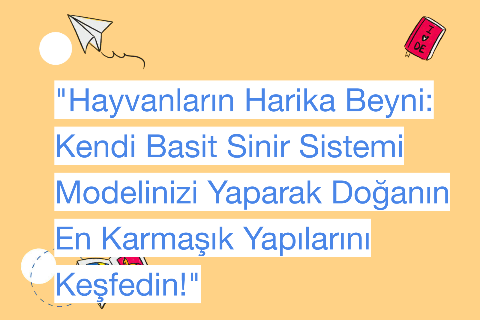 "Hayvanların Harika Beyni: Kendi Basit Sinir Sistemi Modelinizi Yaparak Doğanın En Karmaşık Yapılarını Keşfedin!"