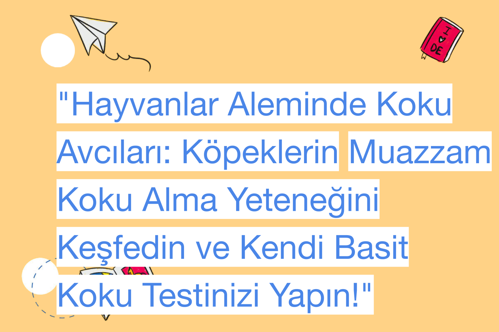 "Hayvanlar Aleminde Koku Avcıları: Köpeklerin Muazzam Koku Alma Yeteneğini Keşfedin ve Kendi Basit Koku Testinizi Yapın!"