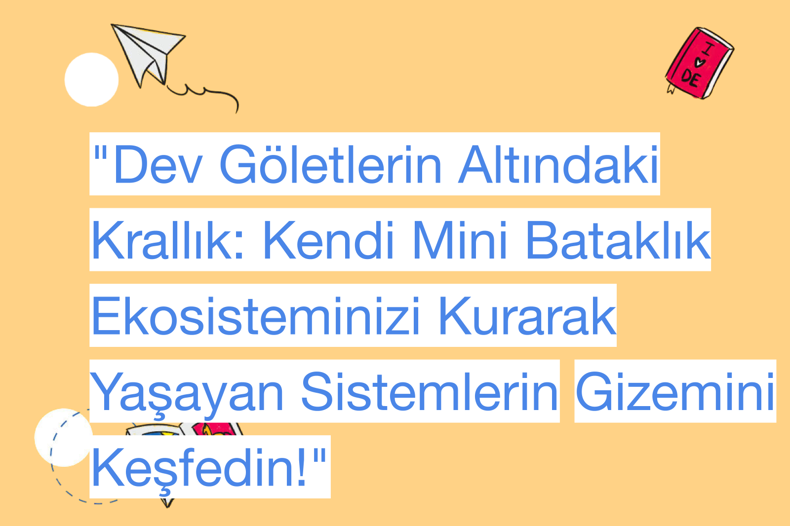 "Dev Göletlerin Altındaki Krallık: Kendi Mini Bataklık Ekosisteminizi Kurarak Yaşayan Sistemlerin Gizemini Keşfedin!"