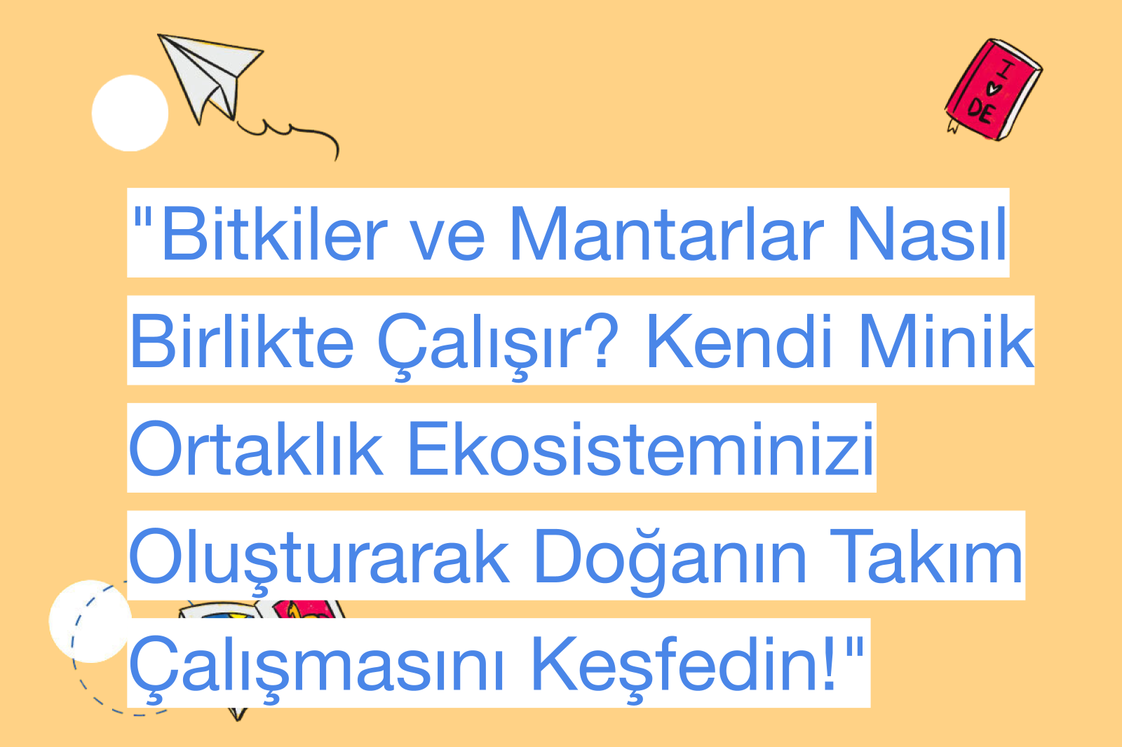 "Bitkiler ve Mantarlar Nasıl Birlikte Çalışır? Kendi Minik Ortaklık Ekosisteminizi Oluşturarak Doğanın Takım Çalışmasını Keşfedin!"
