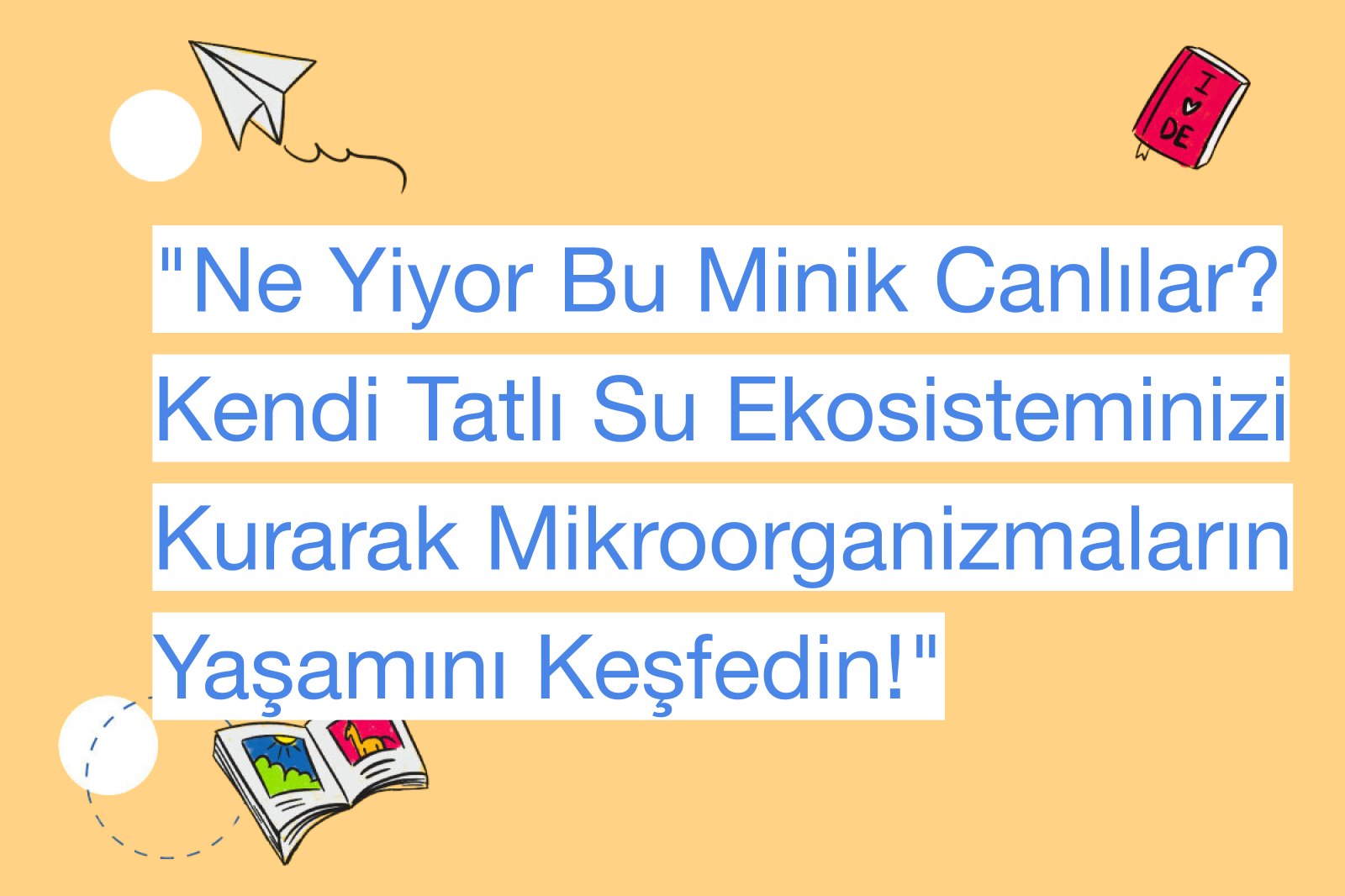 "Ne Yiyor Bu Minik Canlılar? Kendi Tatlı Su Ekosisteminizi Kurarak Mikroorganizmaların Yaşamını Keşfedin!"