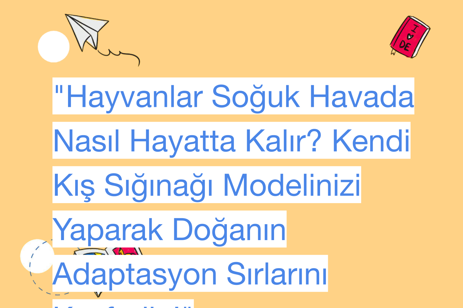 "Hayvanlar Soğuk Havada Nasıl Hayatta Kalır? Kendi Kış Sığınağı Modelinizi Yaparak Doğanın Adaptasyon Sırlarını Keşfedin!"
