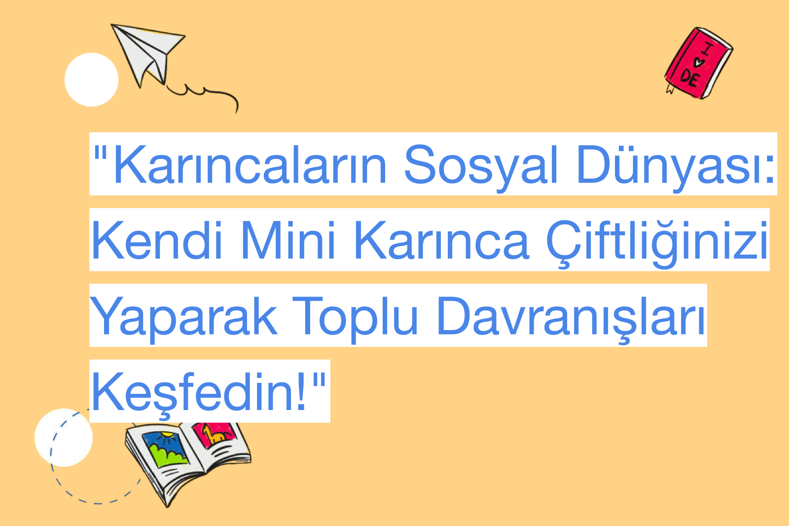 "Karıncaların Sosyal Dünyası: Kendi Mini Karınca Çiftliğinizi Yaparak Toplu Davranışları Keşfedin!"