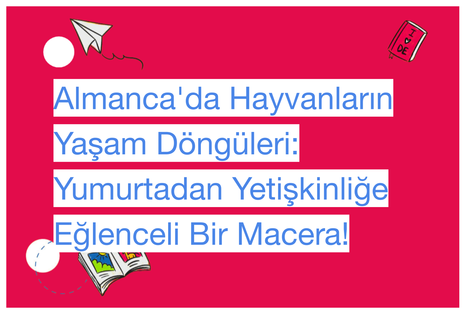 Almanca'da Hayvanların Yaşam Döngüleri: Yumurtadan Yetişkinliğe Eğlenceli Bir Macera!