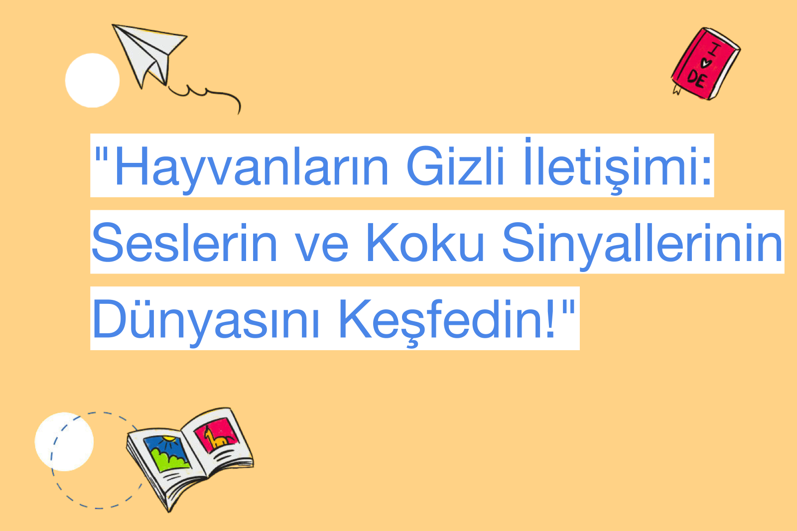 "Hayvanların Gizli İletişimi: Seslerin ve Koku Sinyallerinin Dünyasını Keşfedin!"