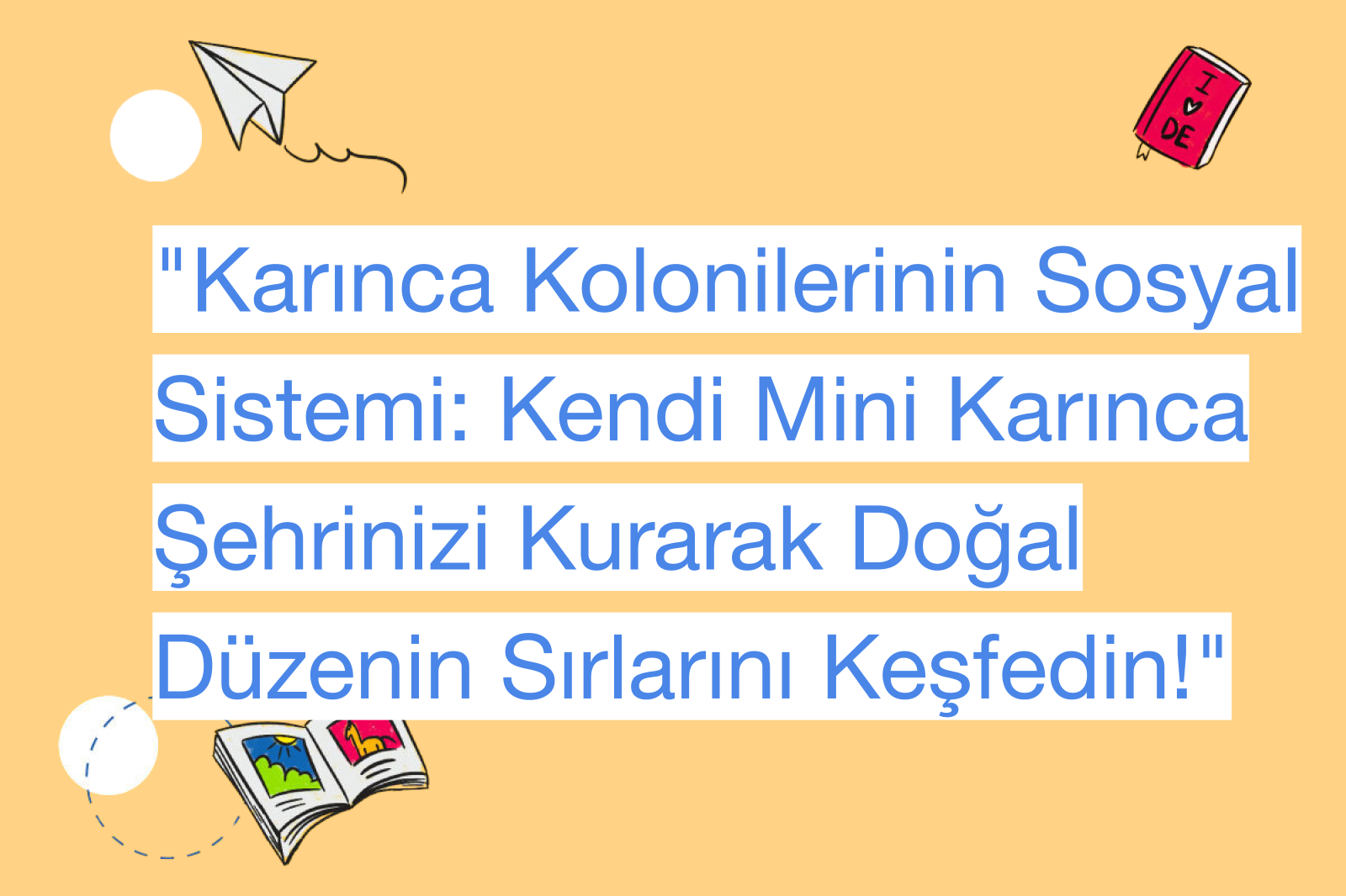 "Karınca Kolonilerinin Sosyal Sistemi: Kendi Mini Karınca Şehrinizi Kurarak Doğal Düzenin Sırlarını Keşfedin!"