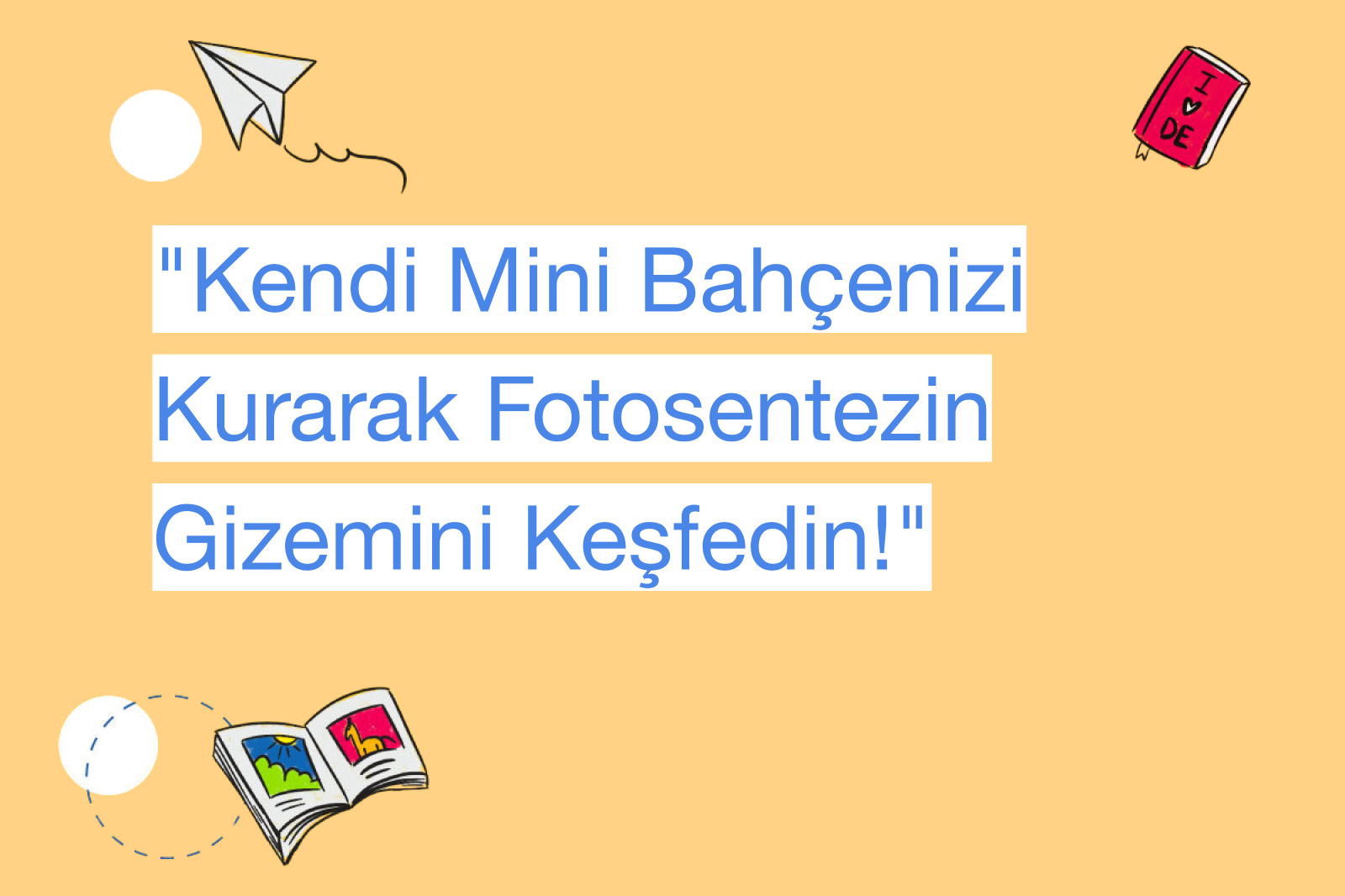 "Kendi Mini Bahçenizi Kurarak Fotosentezin Gizemini Keşfedin!"