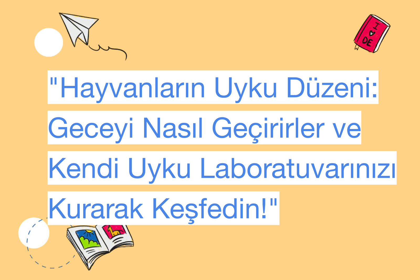 "Hayvanların Uyku Düzeni: Geceyi Nasıl Geçirirler ve Kendi Uyku Laboratuvarınızı Kurarak Keşfedin!"