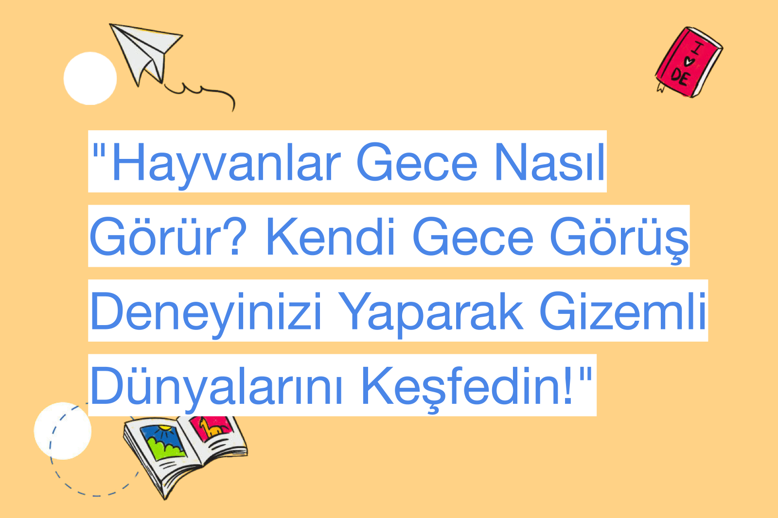 "Hayvanlar Gece Nasıl Görür? Kendi Gece Görüş Deneyinizi Yaparak Gizemli Dünyalarını Keşfedin!"