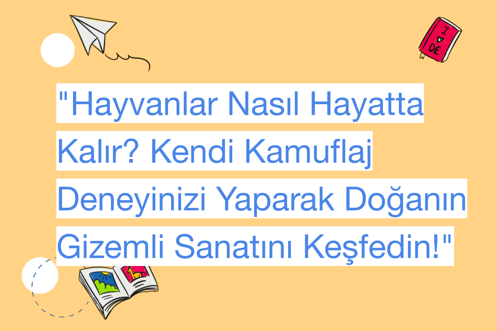 "Hayvanlar Nasıl Hayatta Kalır? Kendi Kamuflaj Deneyinizi Yaparak Doğanın Gizemli Sanatını Keşfedin!"