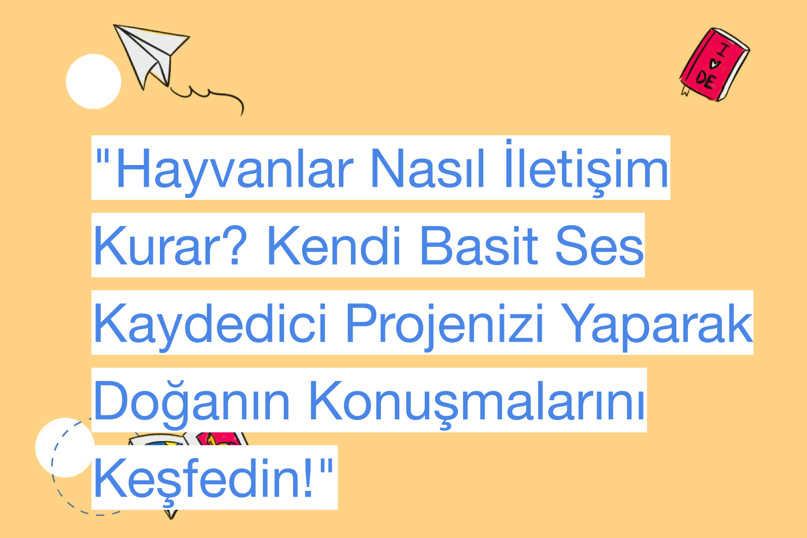 "Hayvanlar Nasıl İletişim Kurar? Kendi Basit Ses Kaydedici Projenizi Yaparak Doğanın Konuşmalarını Keşfedin!"