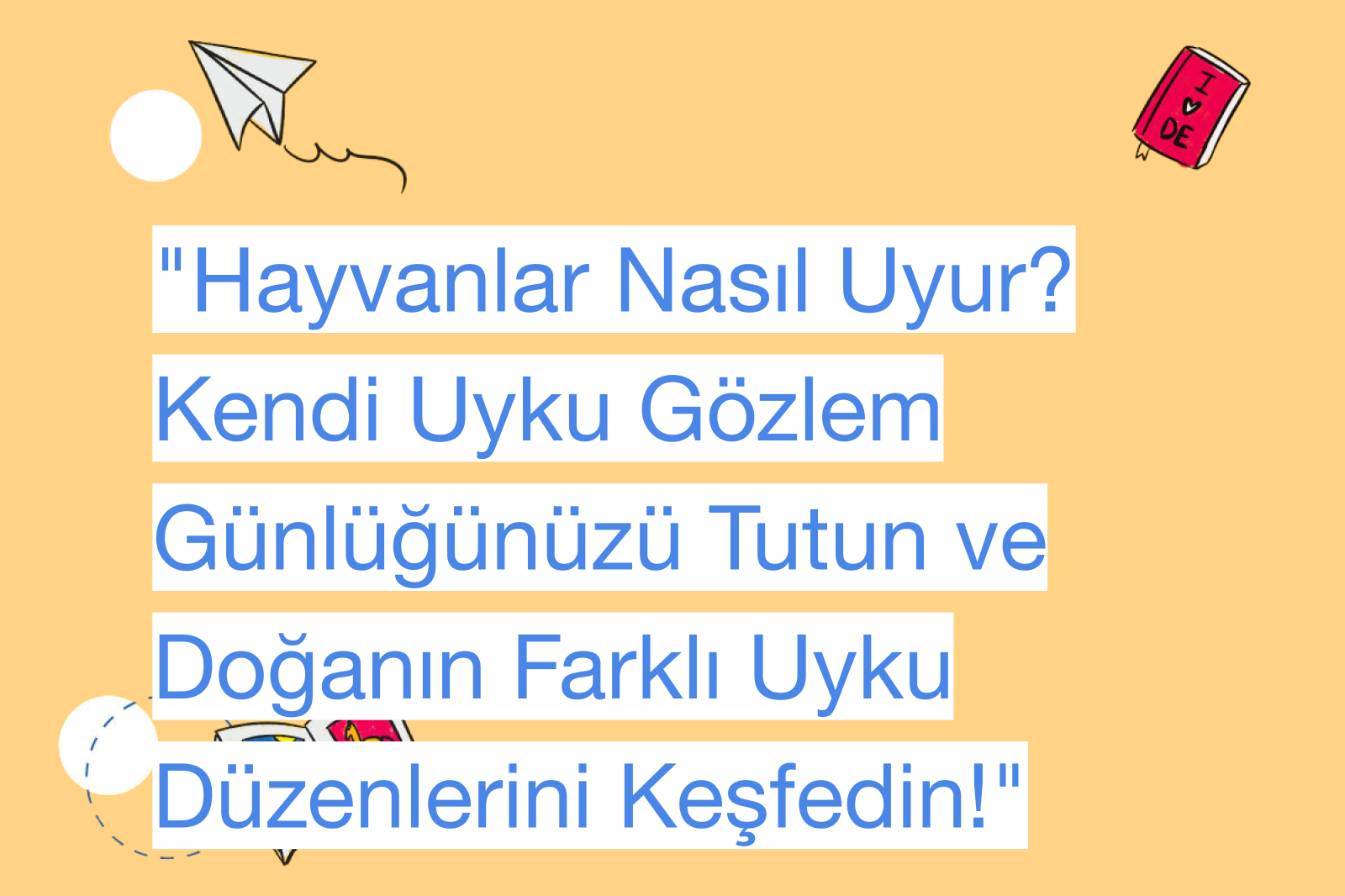"Hayvanlar Nasıl Uyur? Kendi Uyku Gözlem Günlüğünüzü Tutun ve Doğanın Farklı Uyku Düzenlerini Keşfedin!"