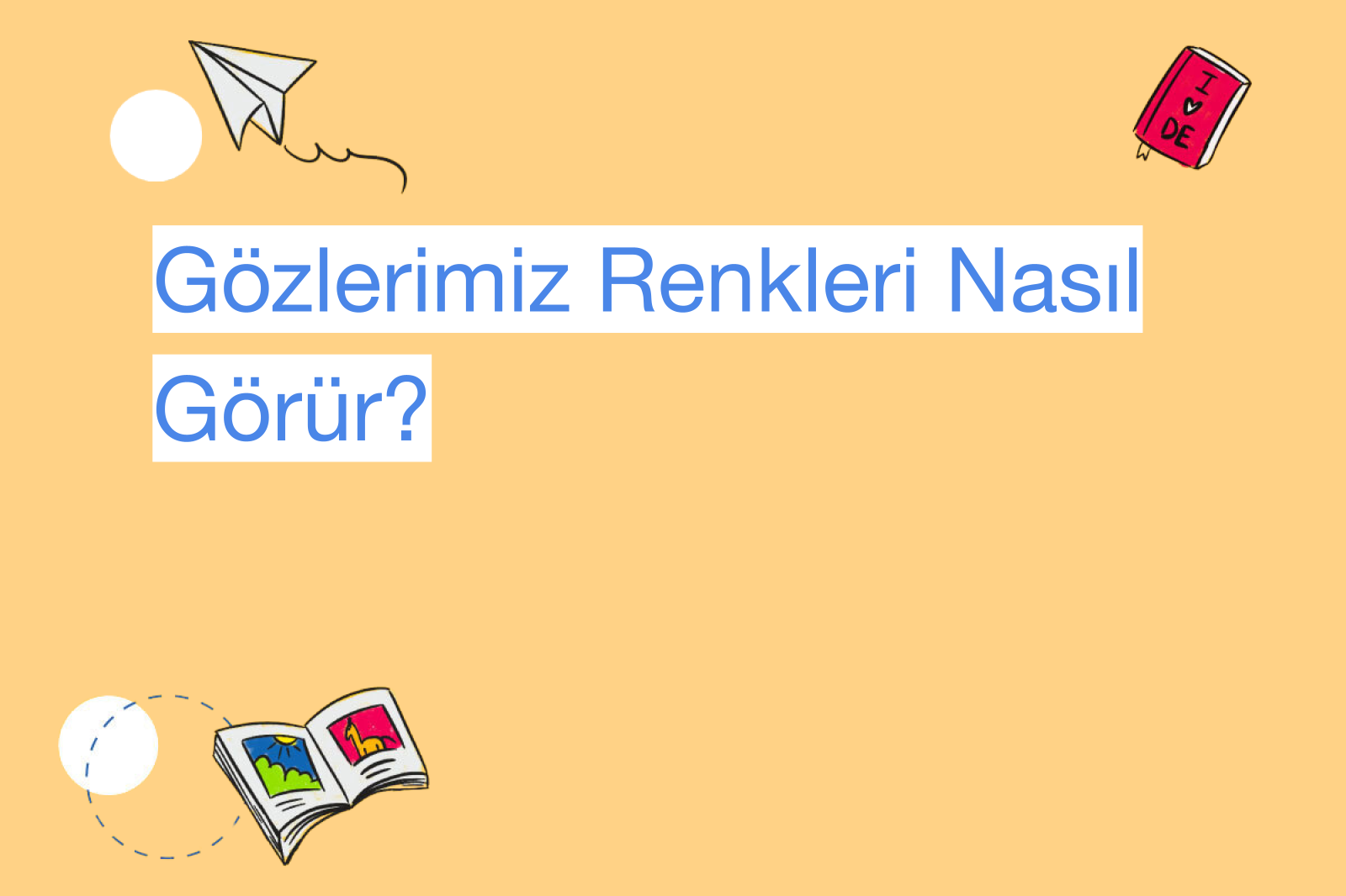 Gözlerimiz Renkleri Nasıl Görür?