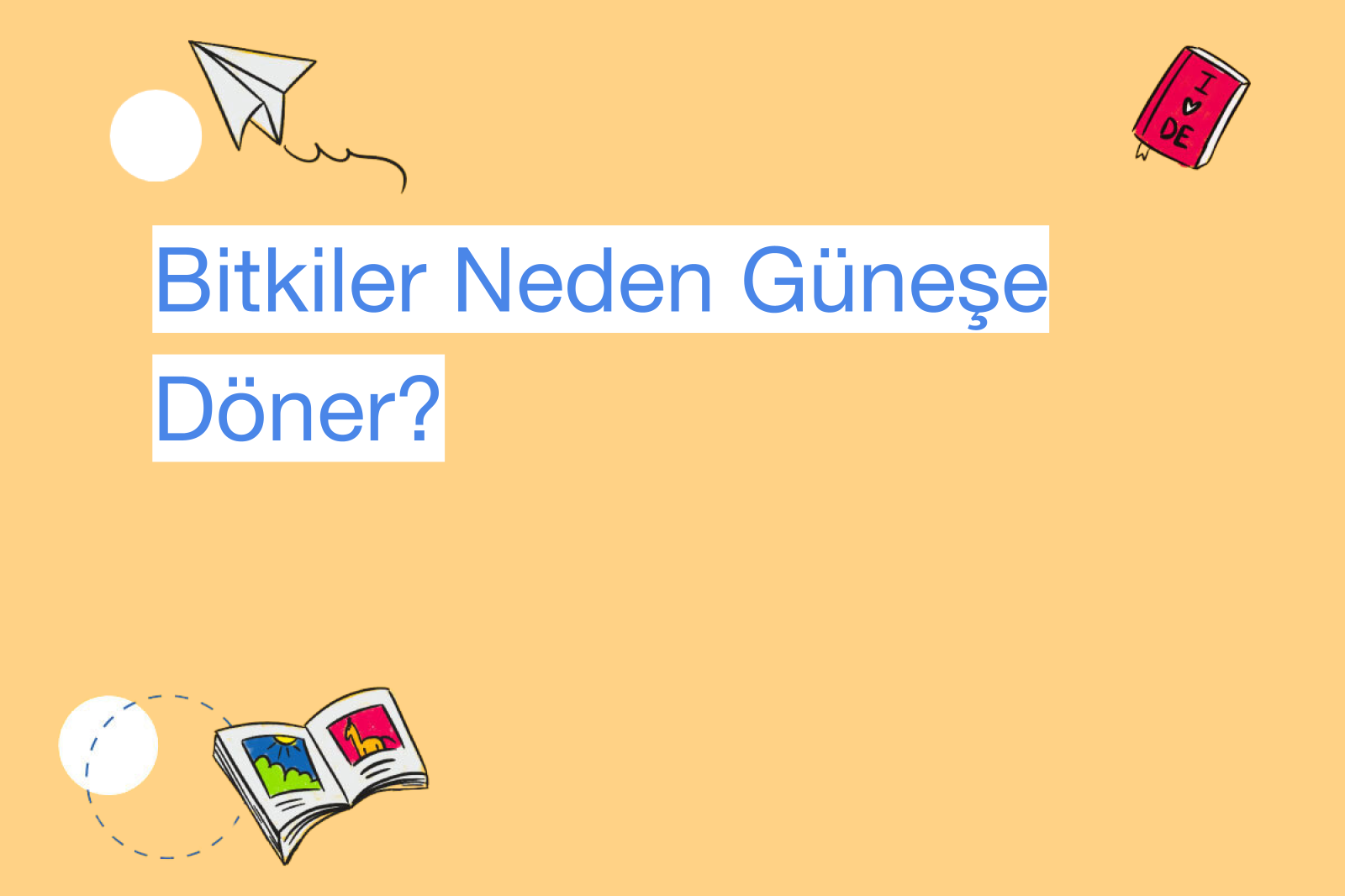 Bitkiler Neden Güneşe Döner?