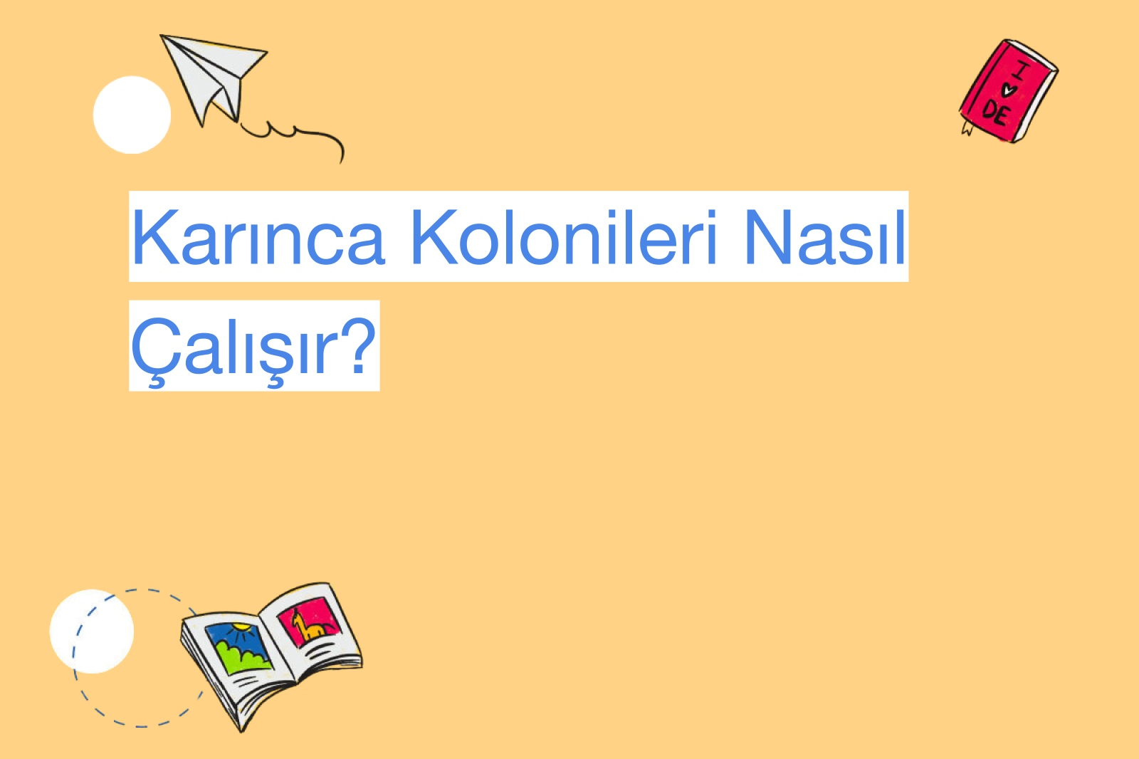 Karınca Kolonileri Nasıl Çalışır?