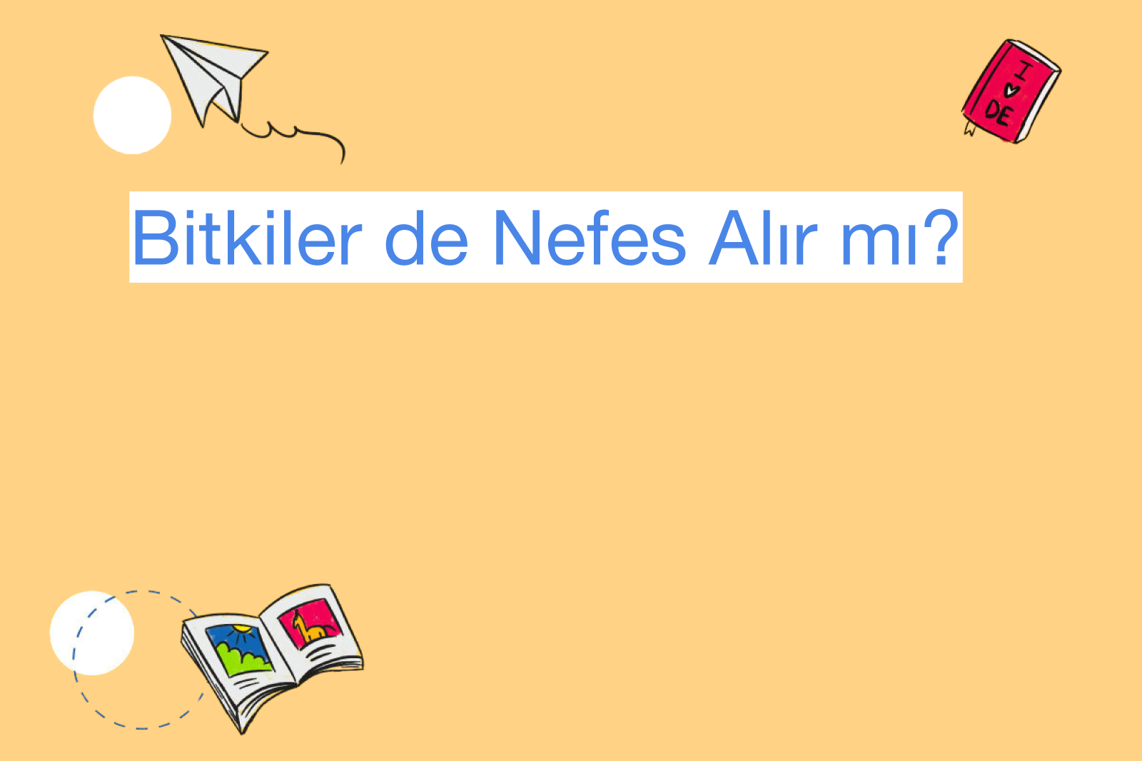 Bitkiler de Nefes Alır mı?
