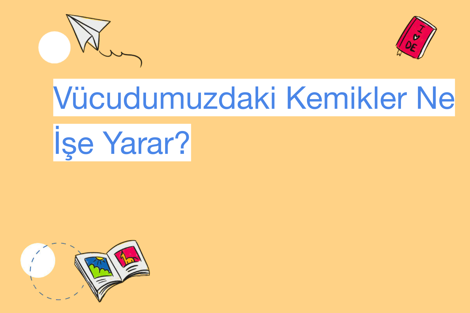 Vücudumuzdaki Kemikler Ne İşe Yarar?