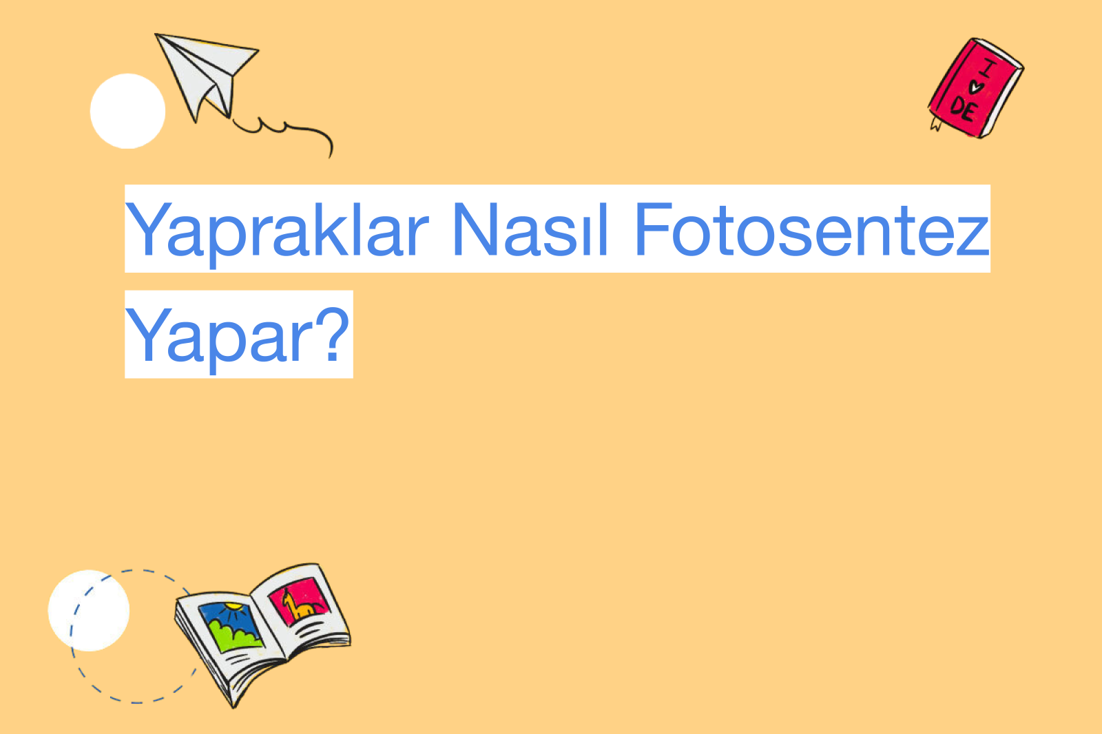 Yapraklar Nasıl Fotosentez Yapar?