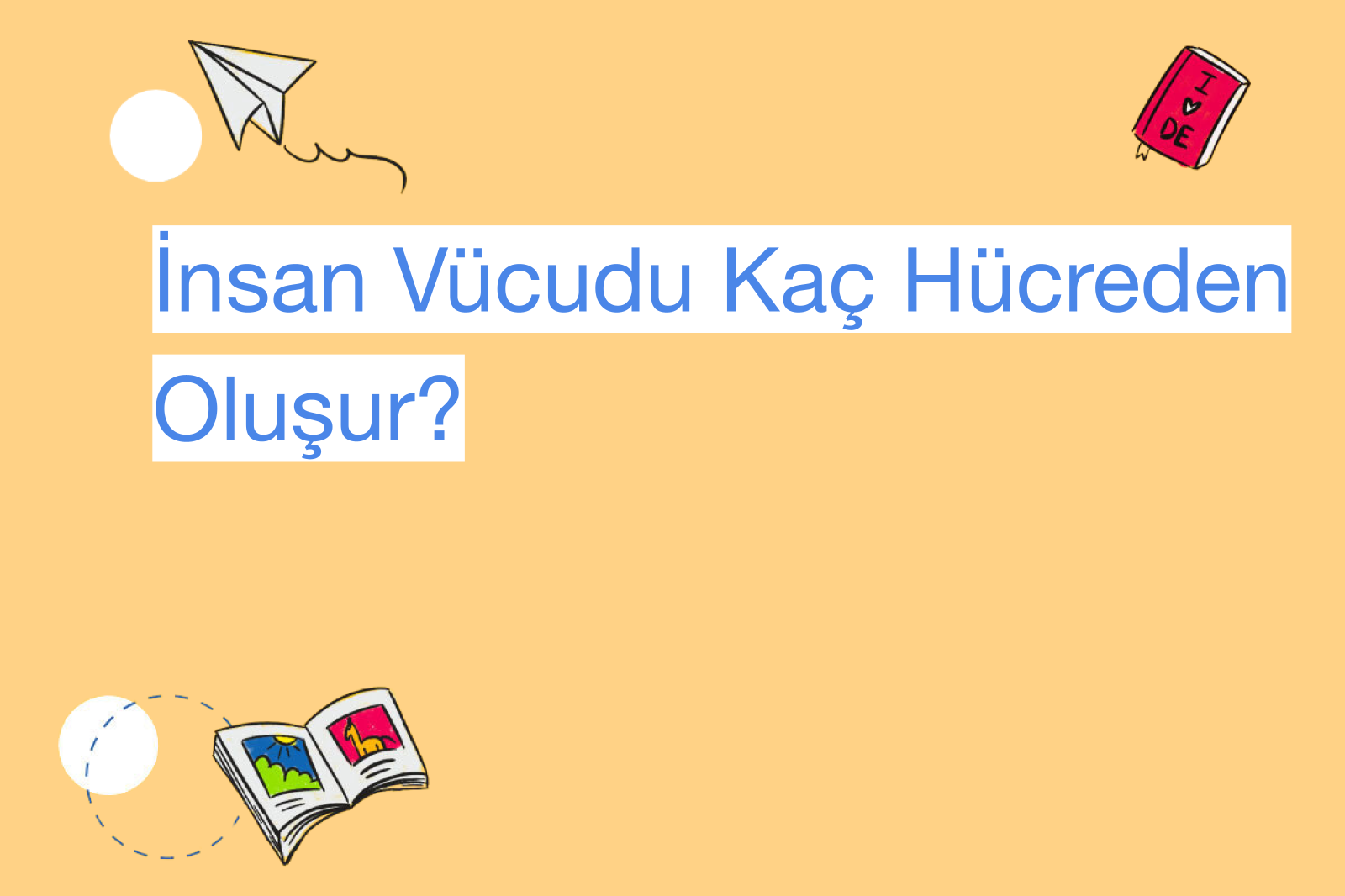 İnsan Vücudu Kaç Hücreden Oluşur?