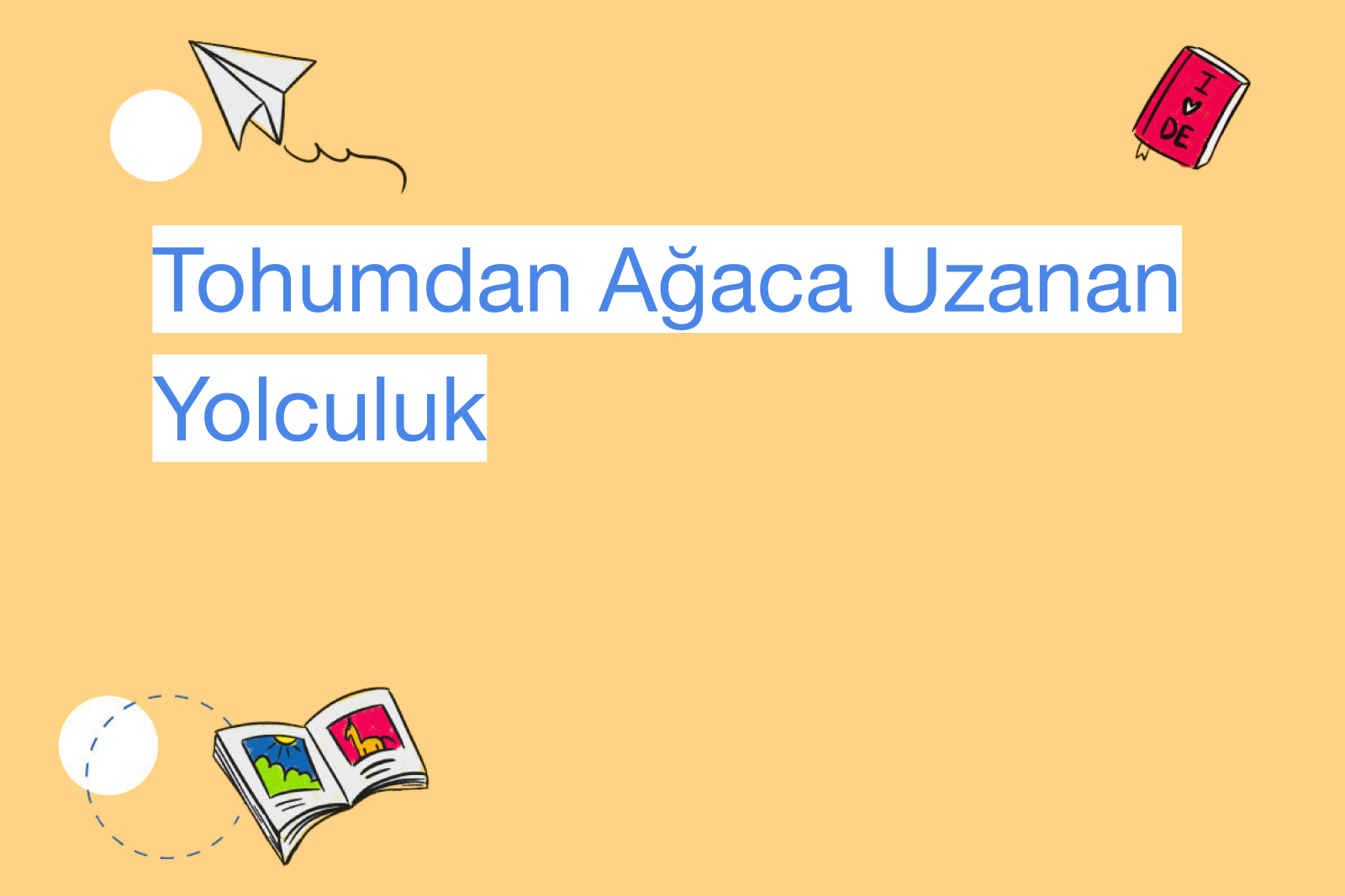 Tohumdan Ağaca Uzanan Yolculuk