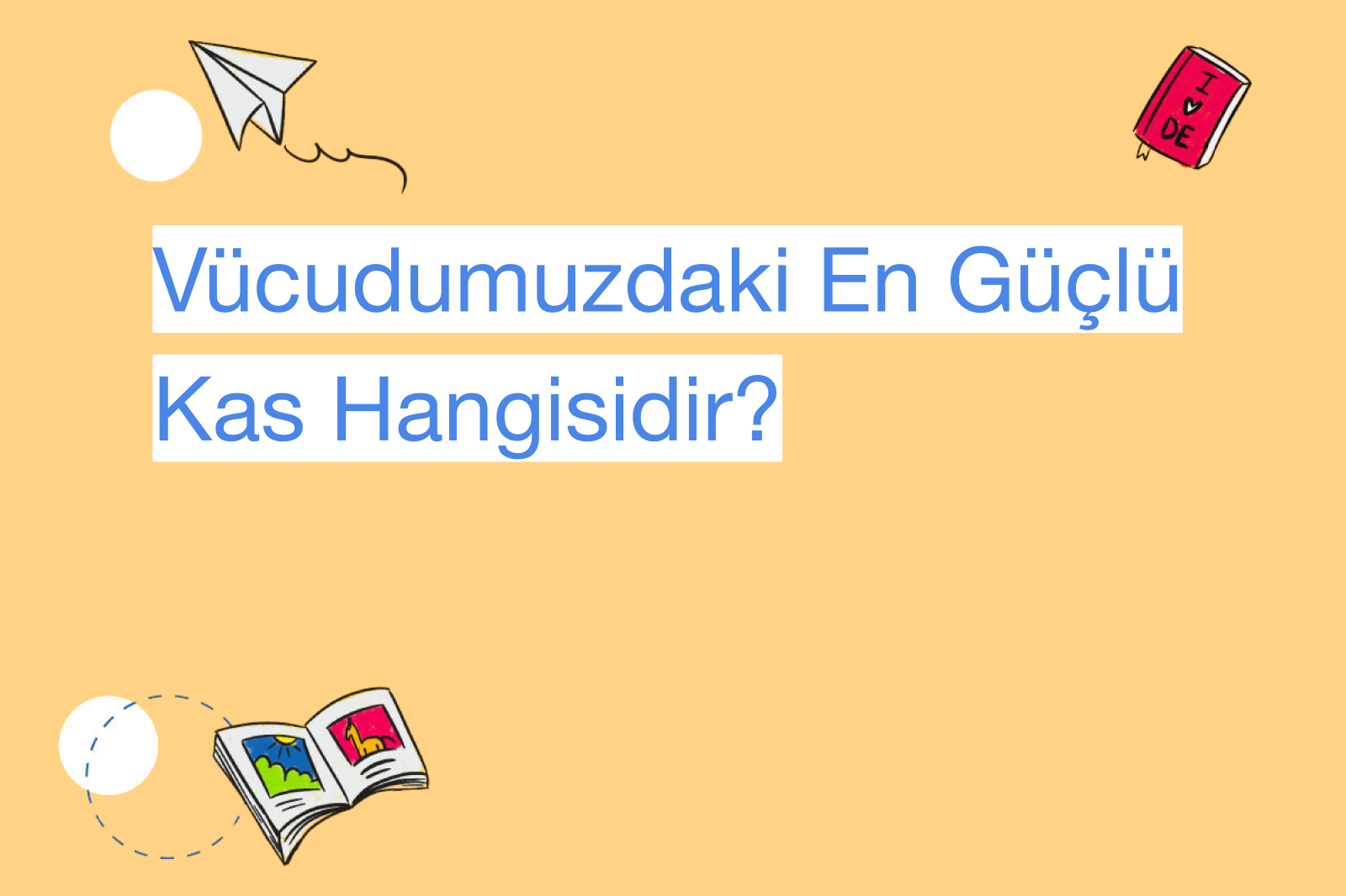 Vücudumuzdaki En Güçlü Kas Hangisidir?