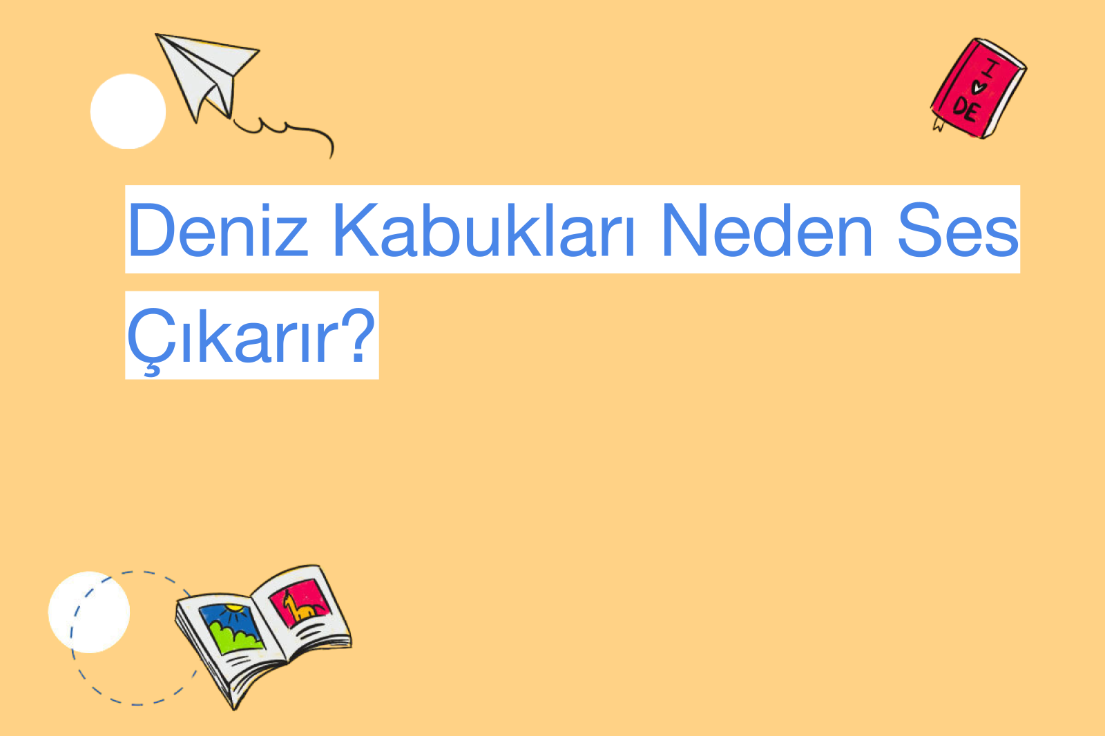 Deniz Kabukları Neden Ses Çıkarır?