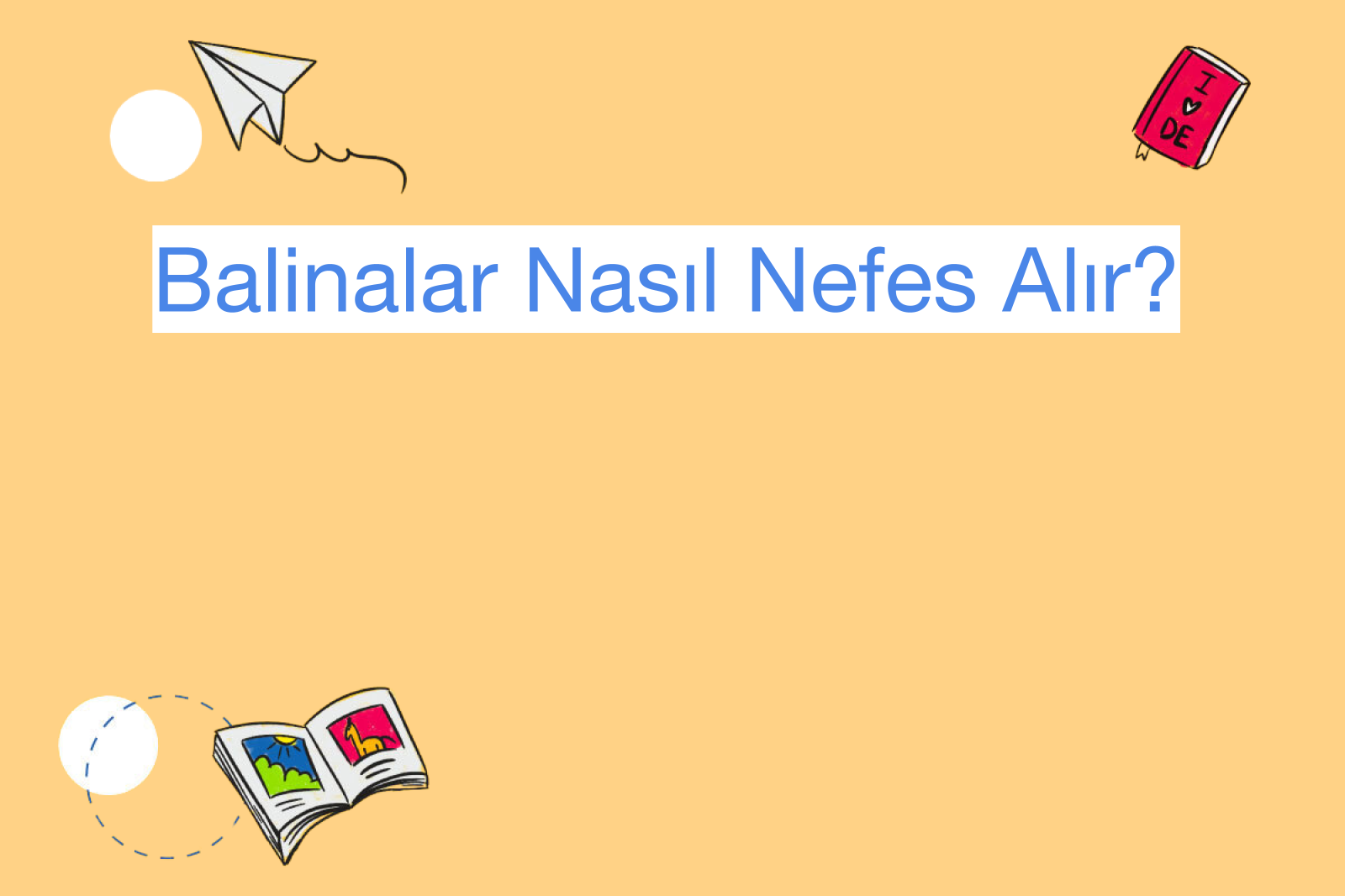 Balinalar Nasıl Nefes Alır?