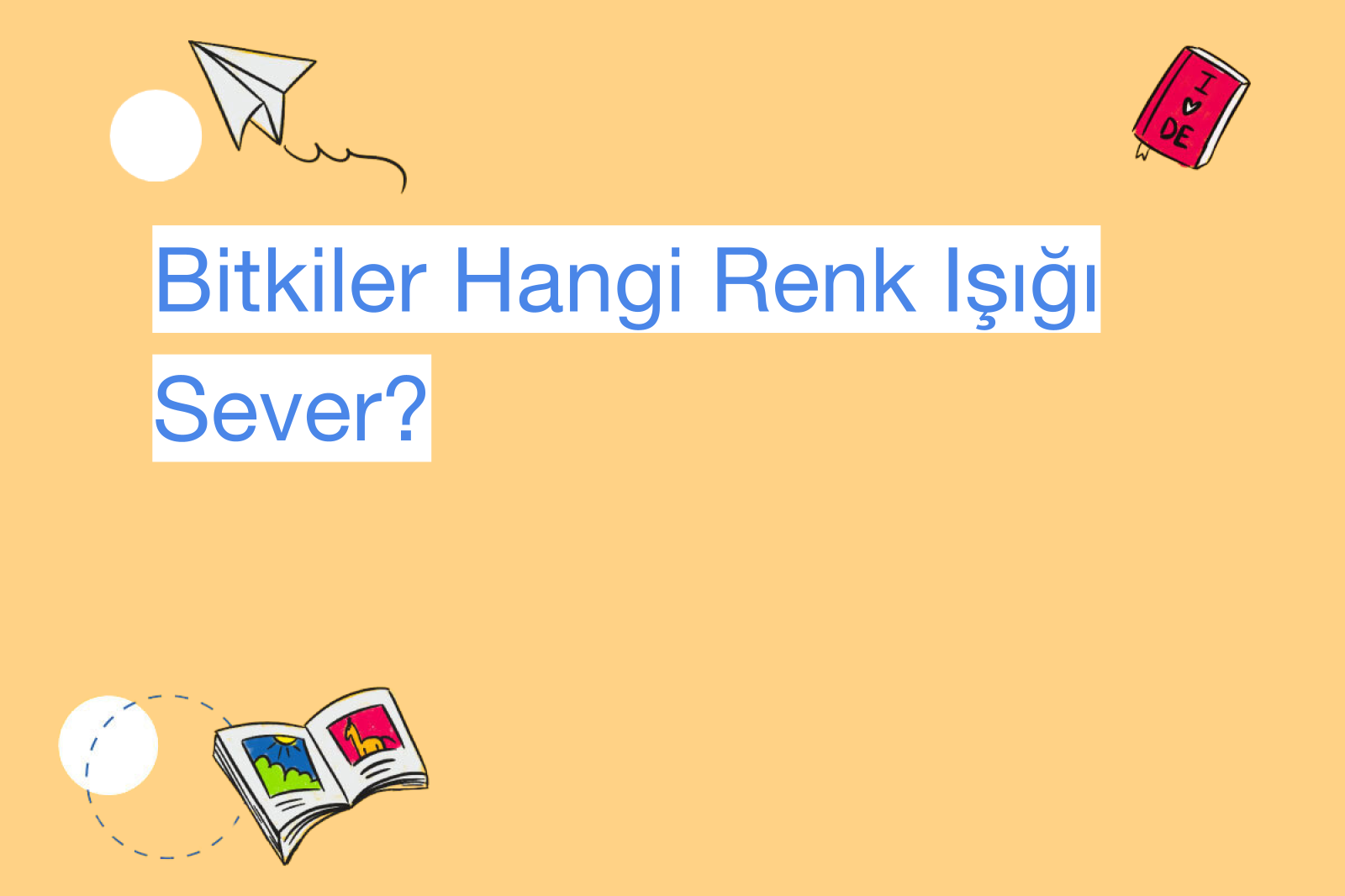 Bitkiler Hangi Renk Işığı Sever?