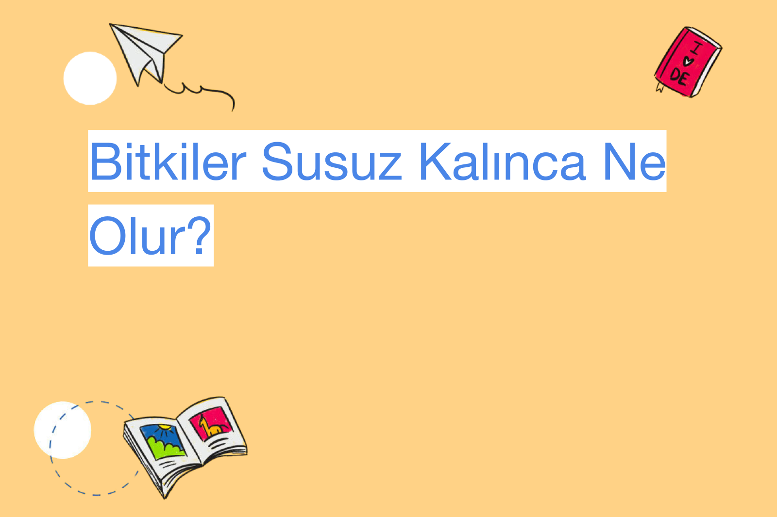 Bitkiler Susuz Kalınca Ne Olur?
