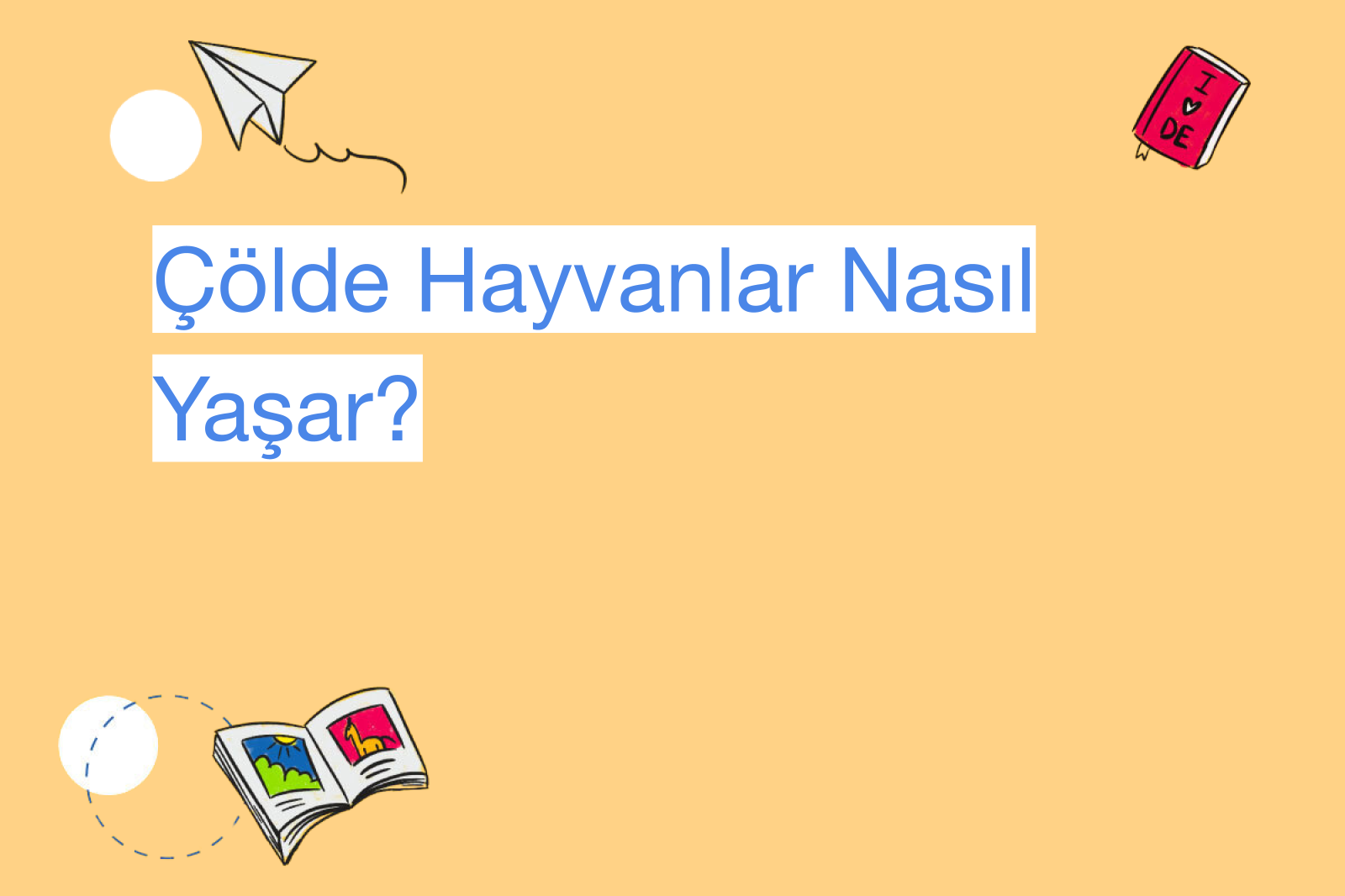 Çölde Hayvanlar Nasıl Yaşar?
