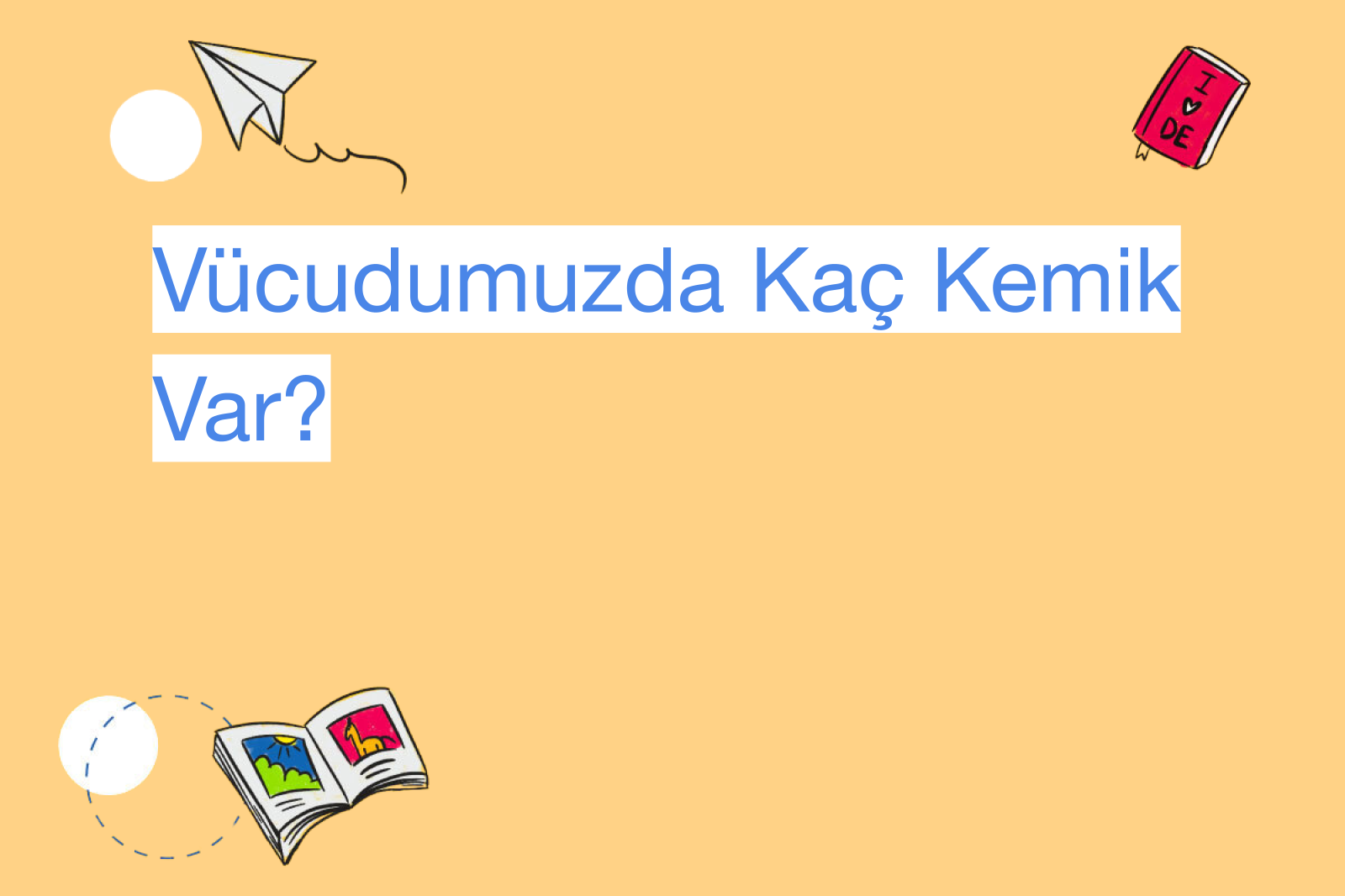 Vücudumuzda Kaç Kemik Var?