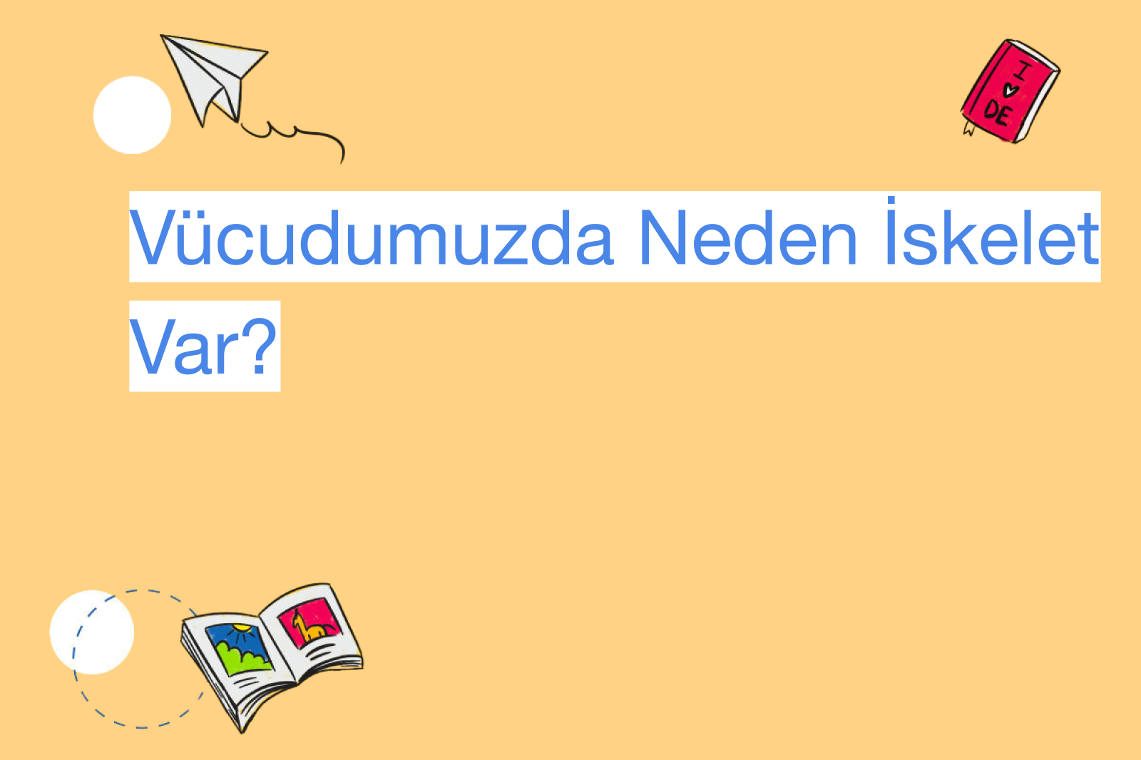 Vücudumuzda Neden İskelet Var?