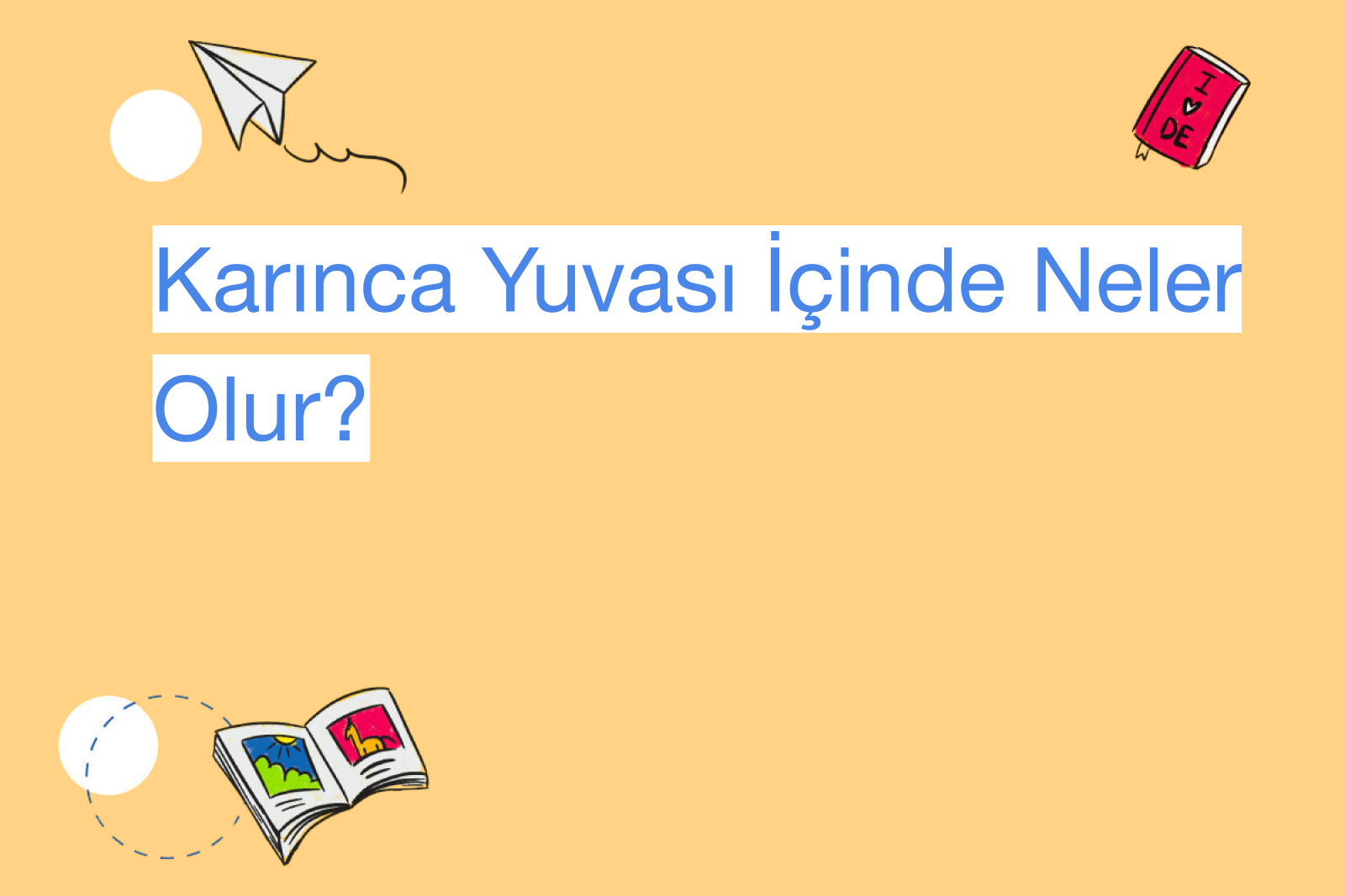 Karınca Yuvası İçinde Neler Olur?