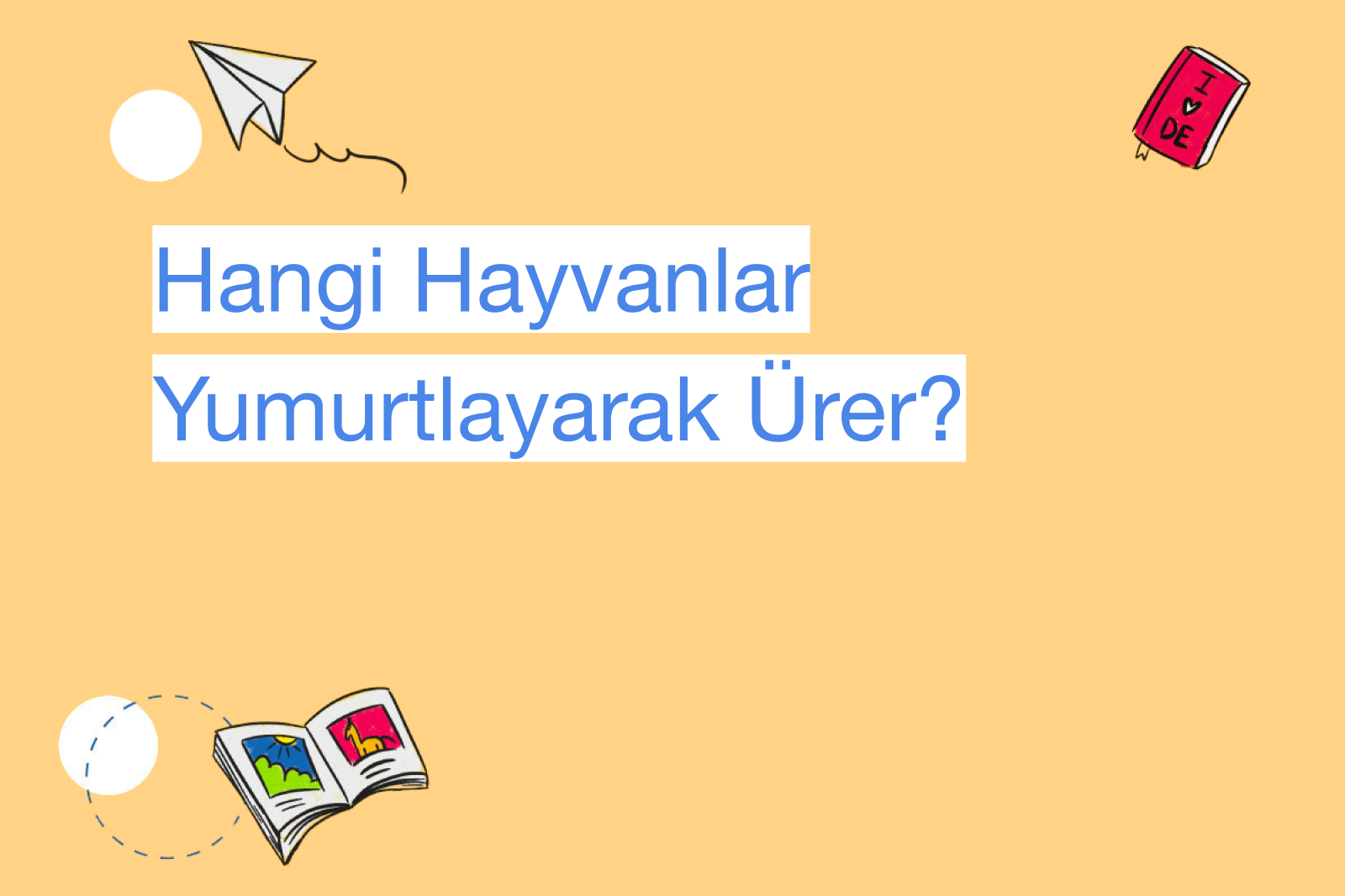 Hangi Hayvanlar Yumurtlayarak Ürer?
