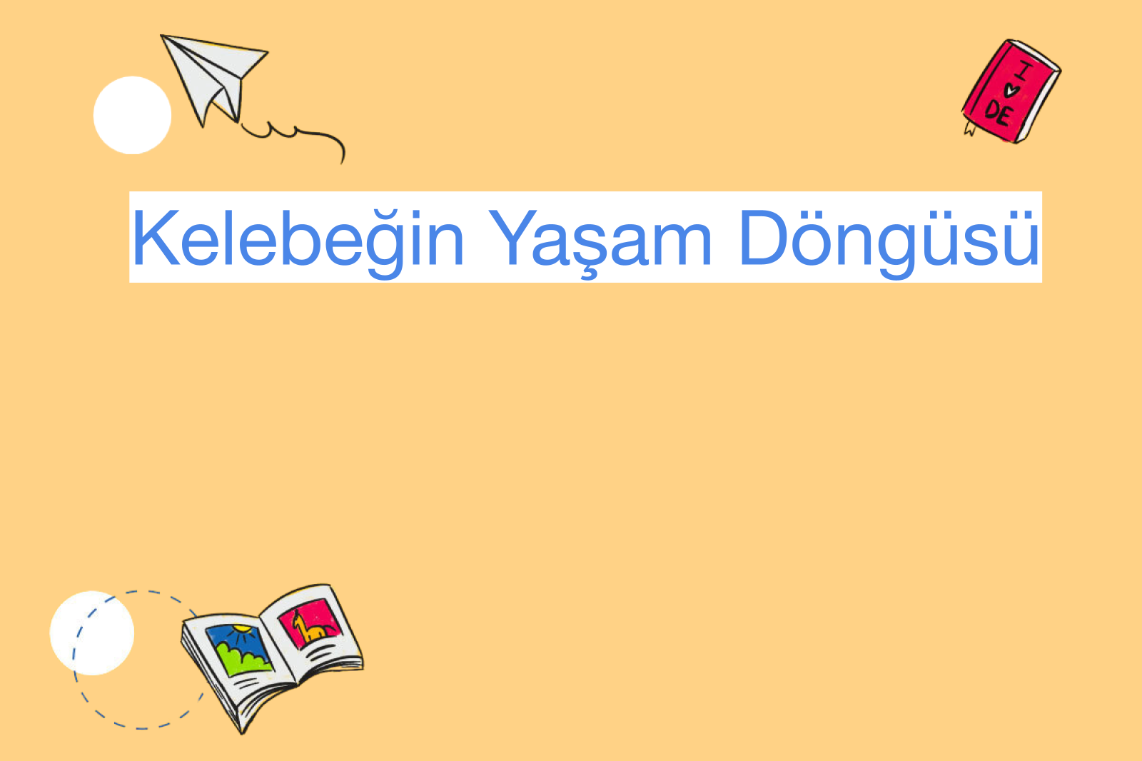 Kelebeğin Yaşam Döngüsü