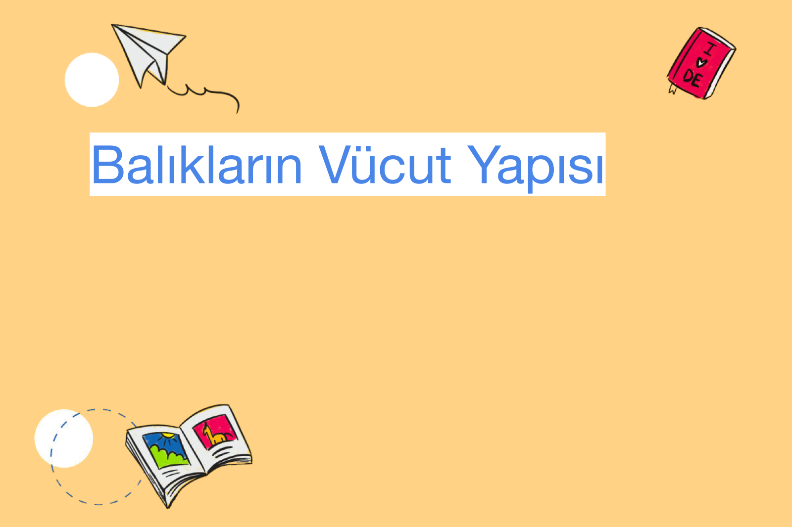 Balıkların Vücut Yapısı