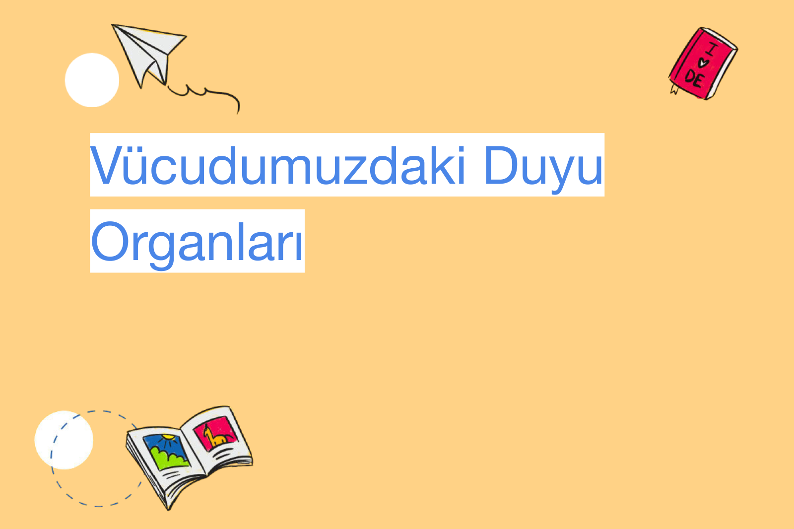 Vücudumuzdaki Duyu Organları