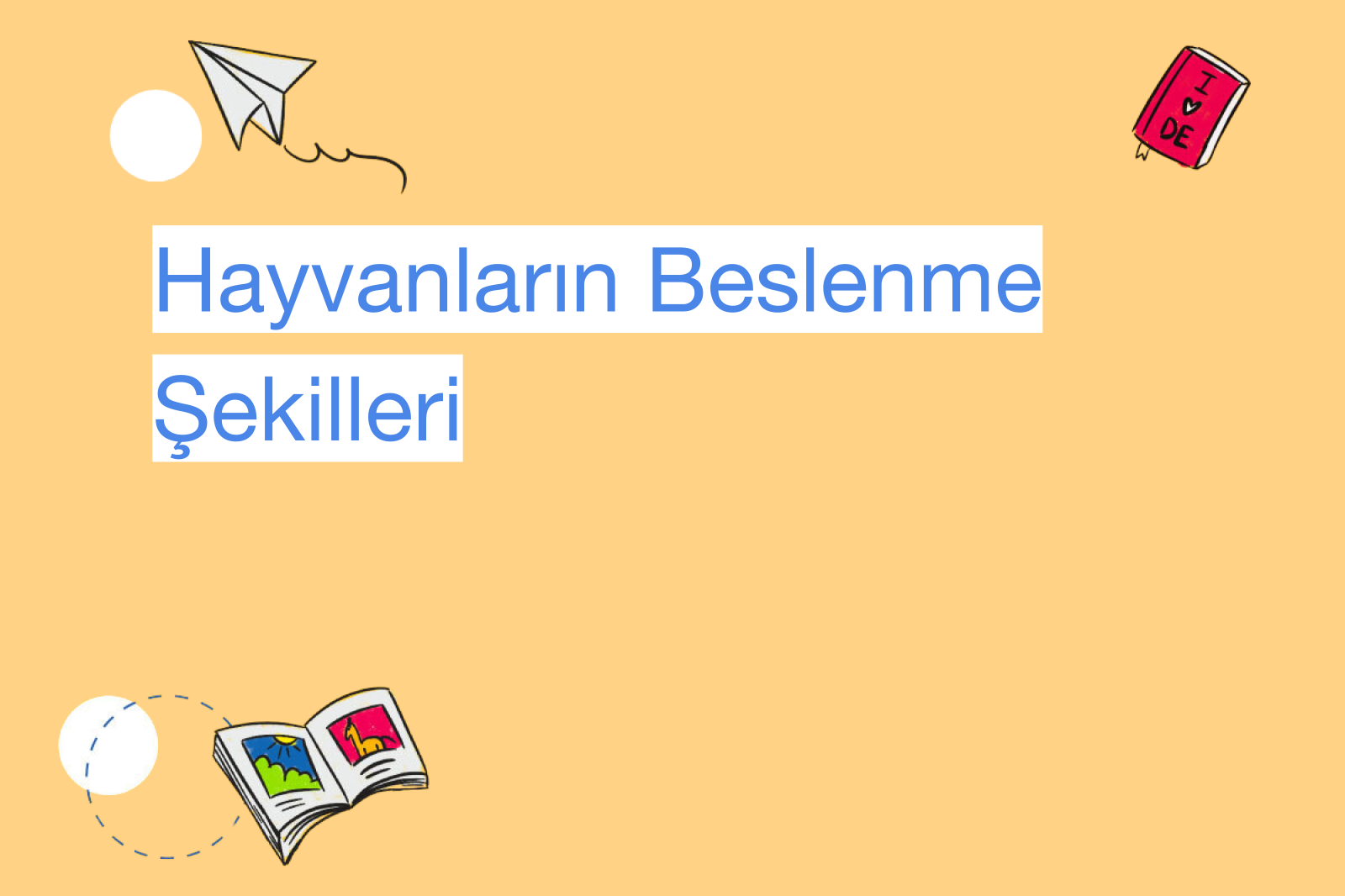 Hayvanların Beslenme Şekilleri