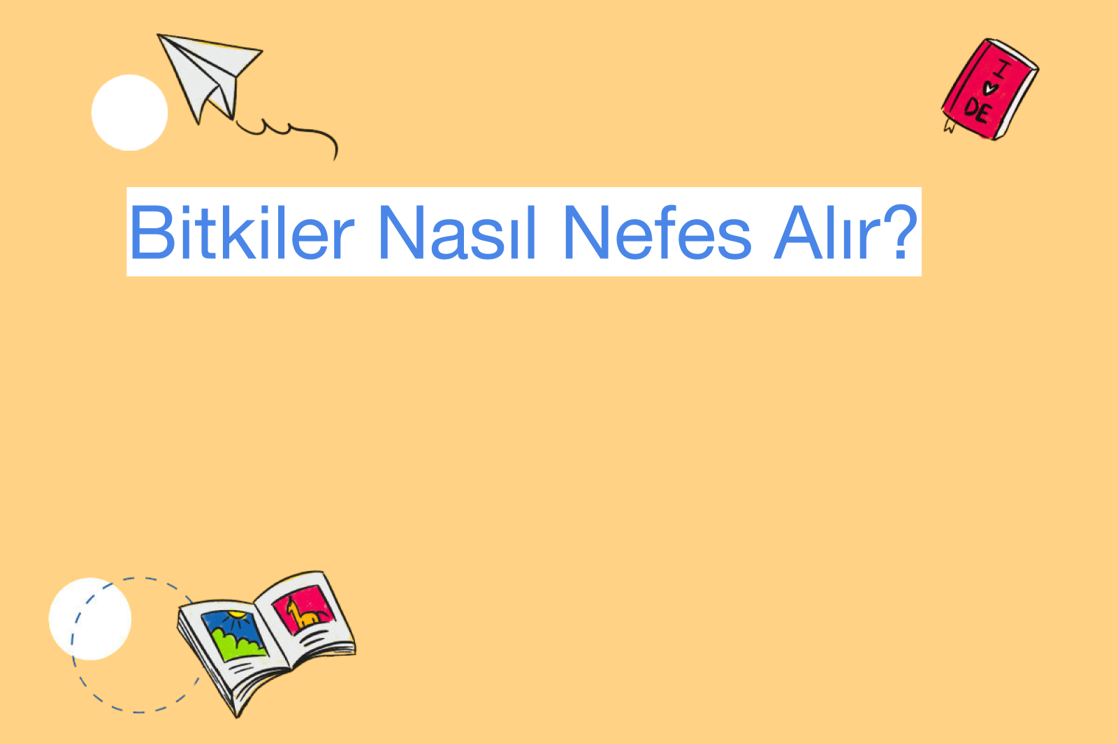 Bitkiler Nasıl Nefes Alır?