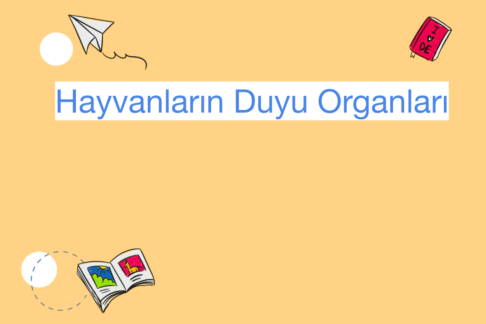 Hayvanların Duyu Organları