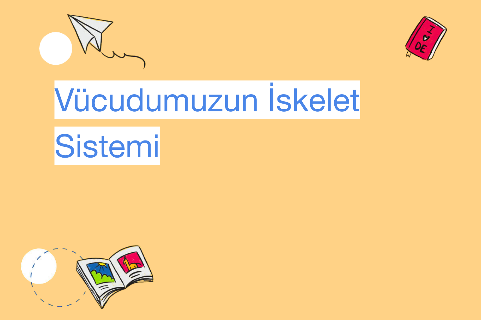 Vücudumuzun İskelet Sistemi