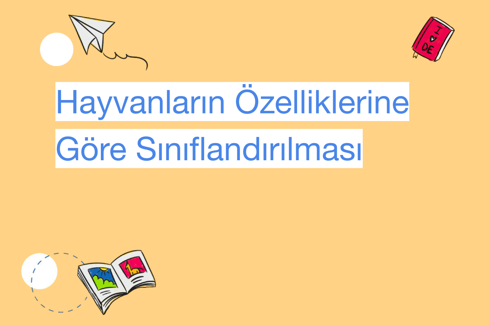 Hayvanların Özelliklerine Göre Sınıflandırılması