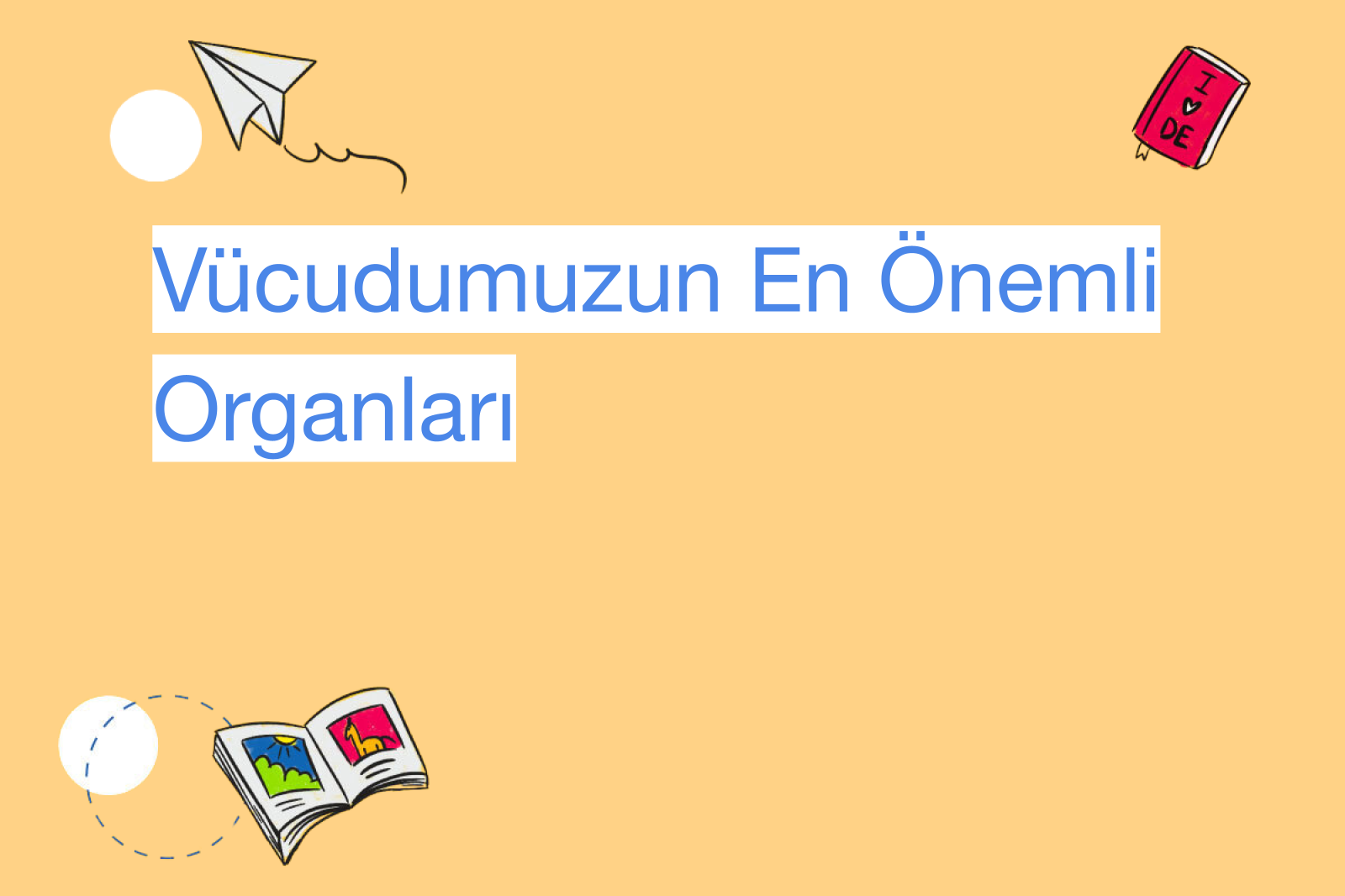 Vücudumuzun En Önemli Organları