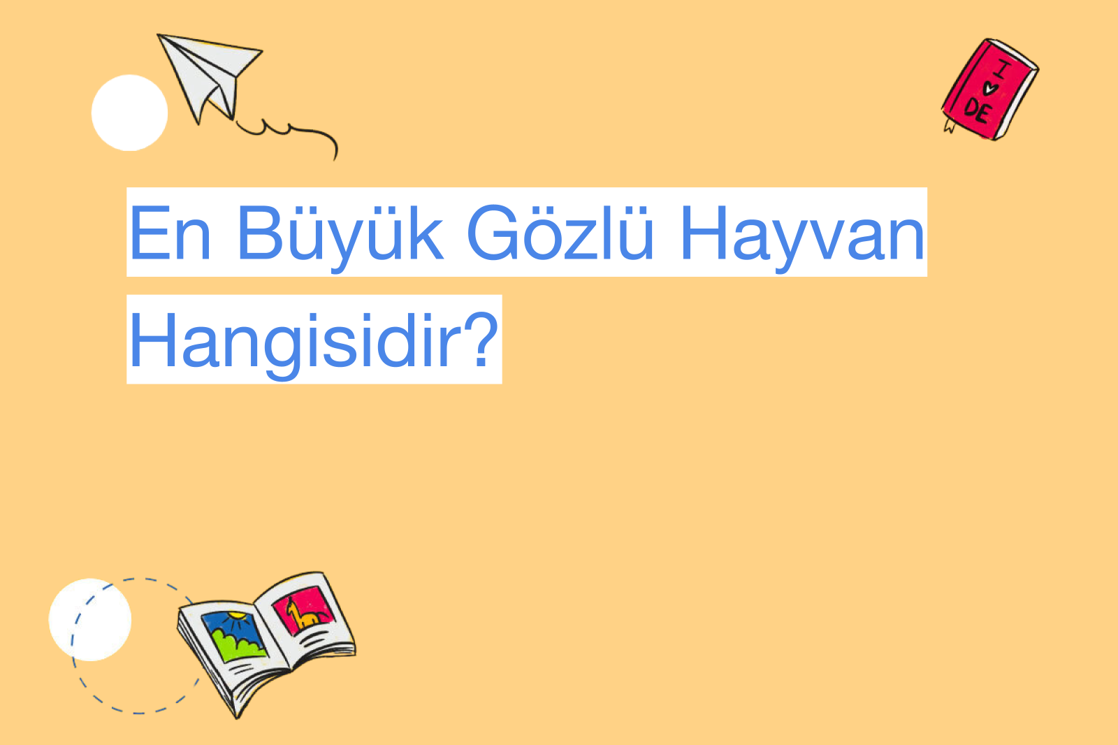 En Büyük Gözlü Hayvan Hangisidir?