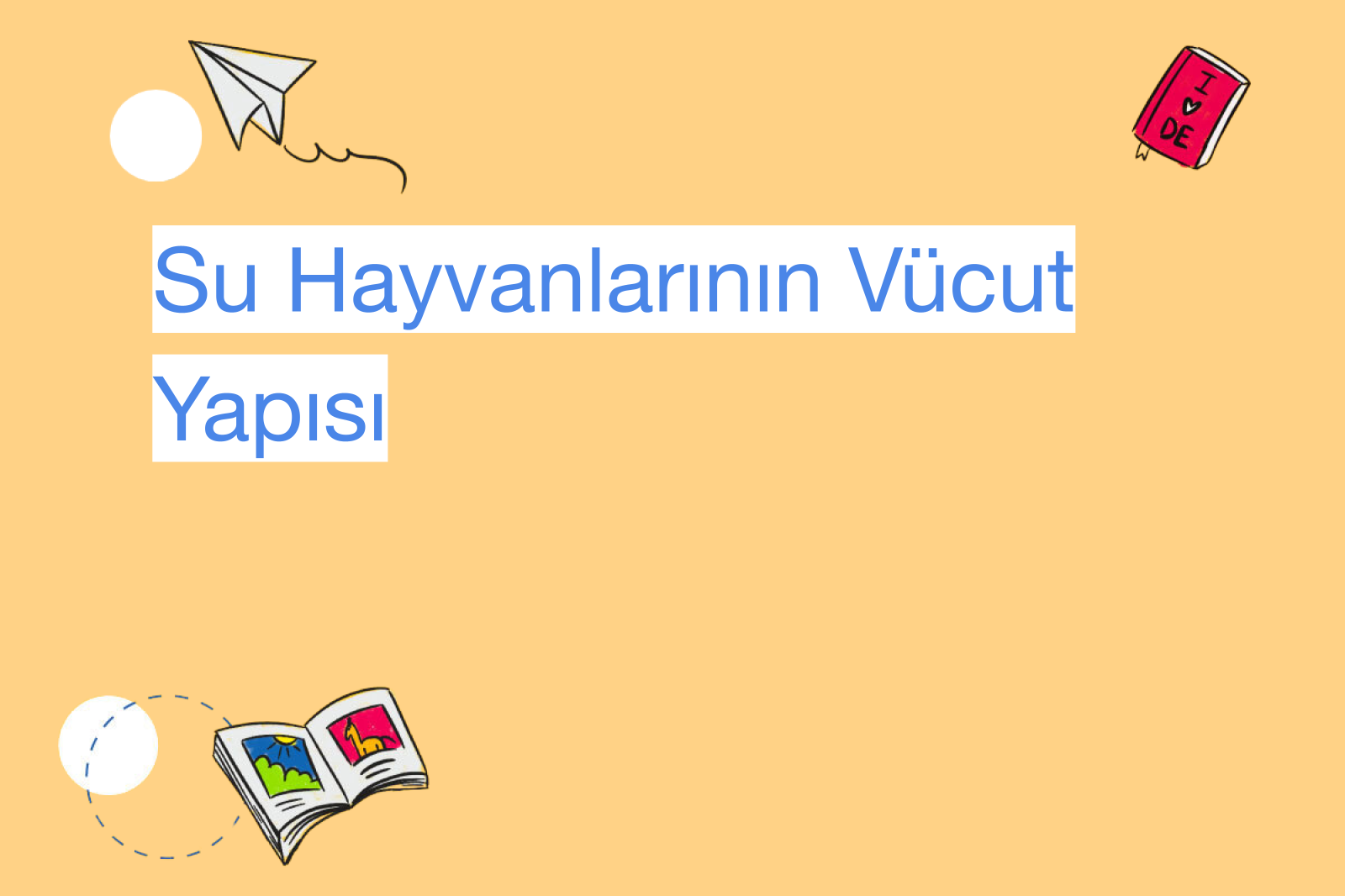Su Hayvanlarının Vücut Yapısı