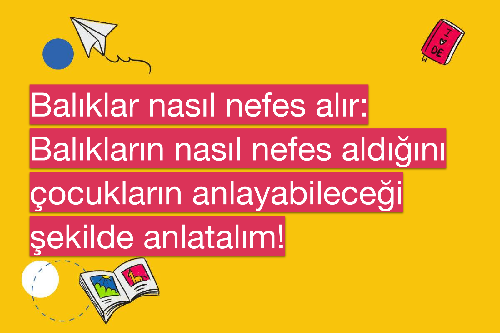 Balıklar nasıl nefes alır: Balıkların nasıl nefes aldığını çocukların anlayabileceği şekilde anlatalım!