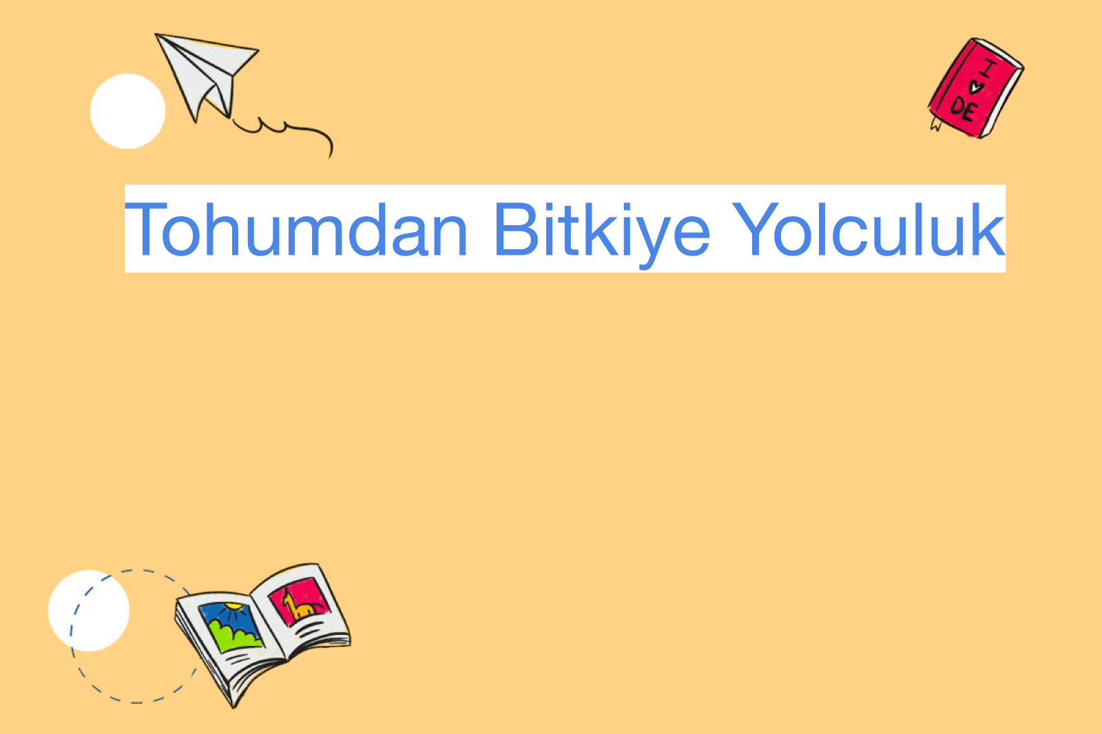 Tohumdan Bitkiye Yolculuk